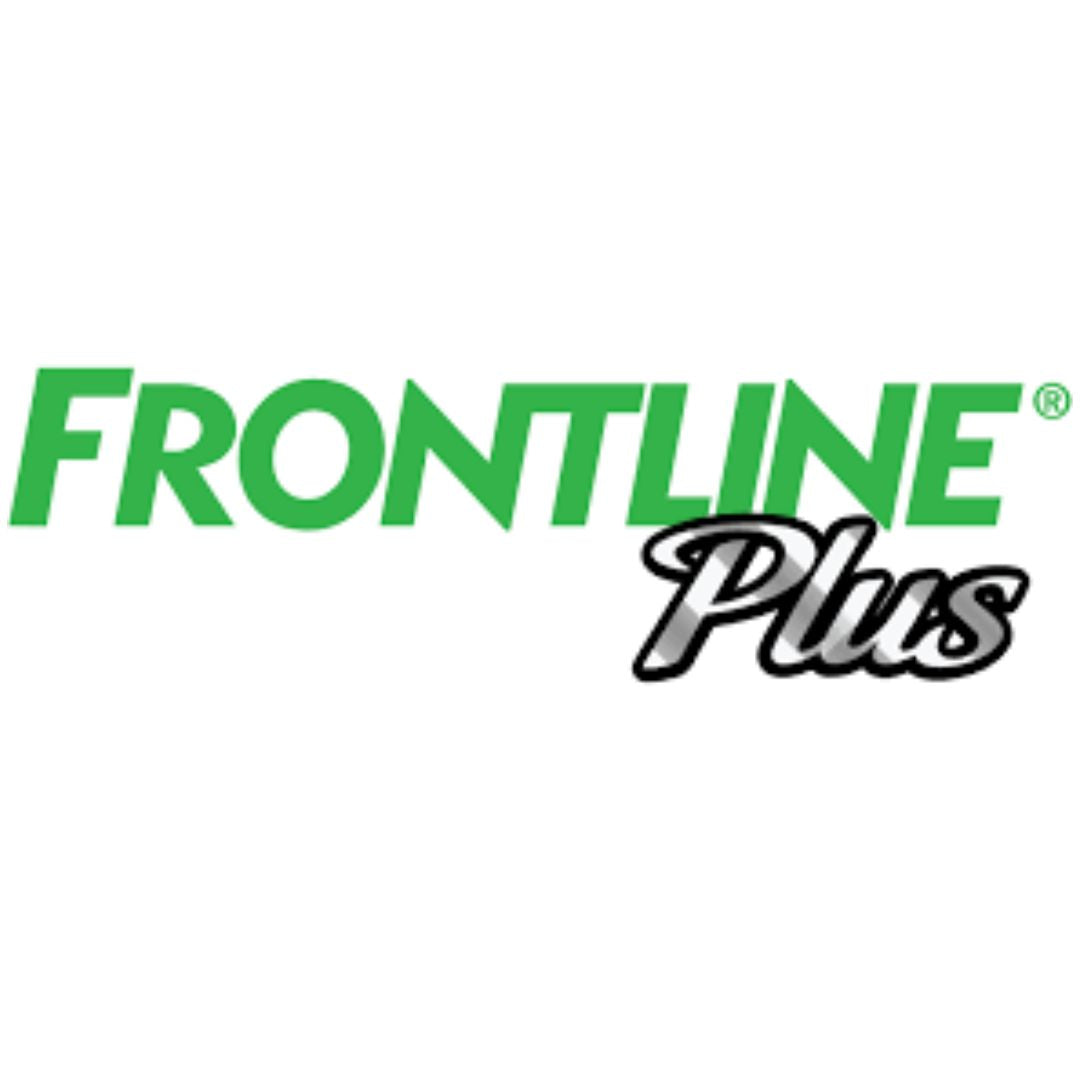 Frontline