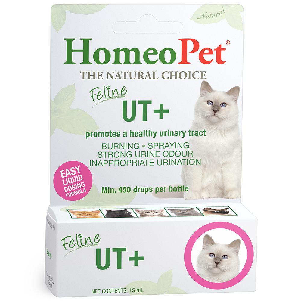 HomeoPet Feline UT+ Drops