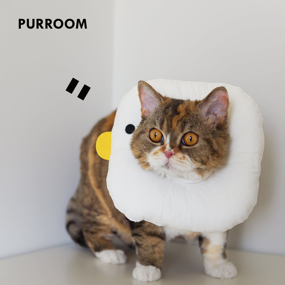 Purroom Pet Recovery Collar - Chick Medium worn by a cat
