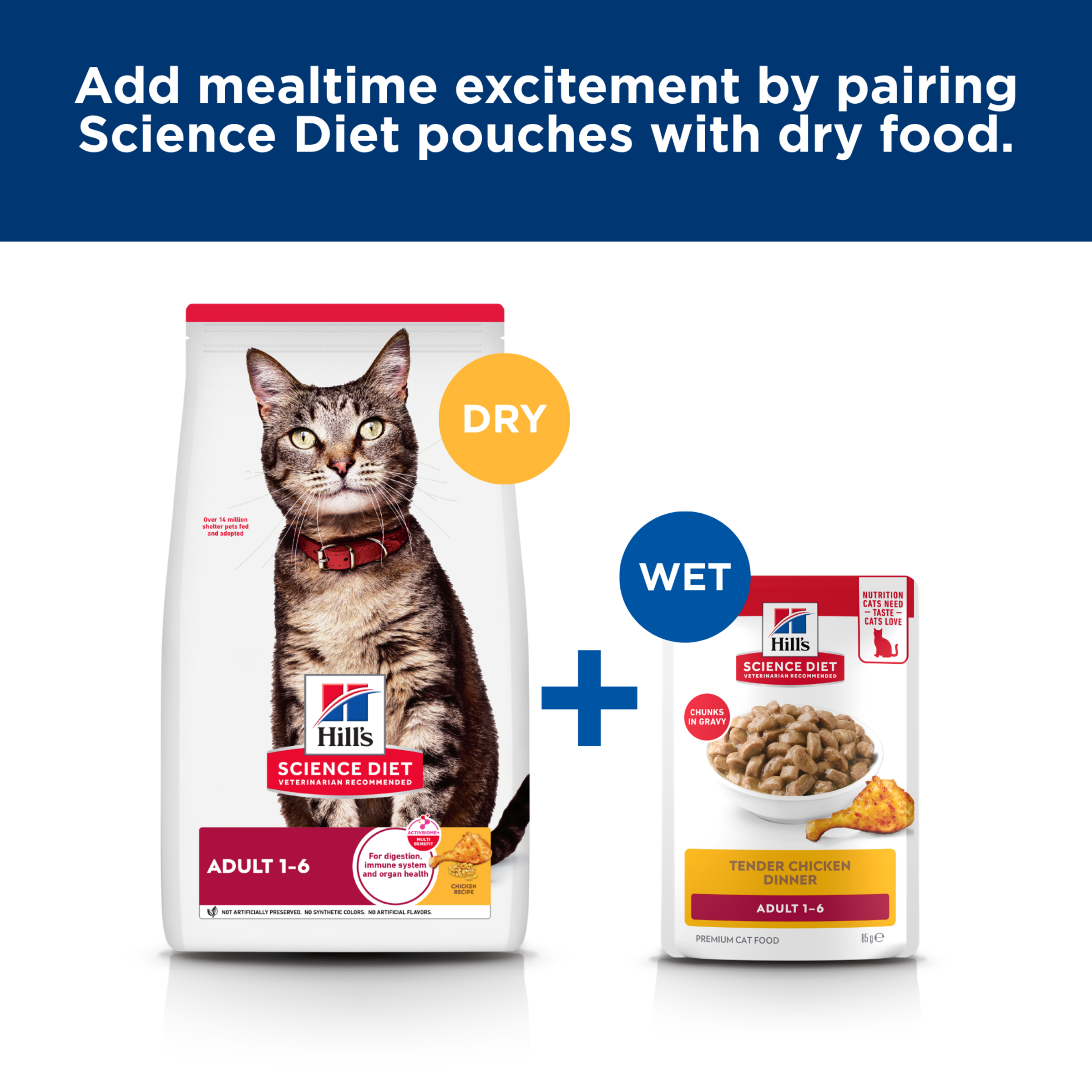 Add mealtime excitement: pair Hill's Science Diet cat pouches with the Adult dry food bag