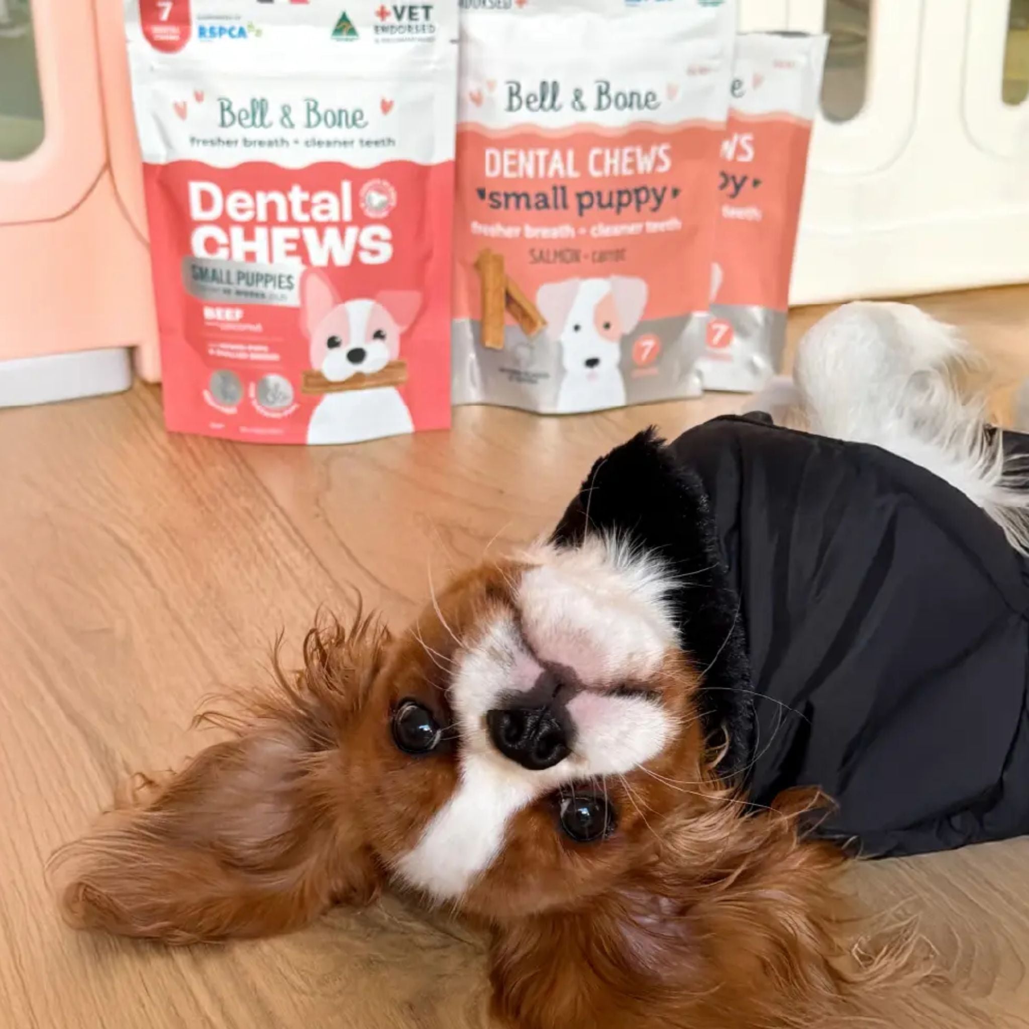 Bell and Bone Puppy Dental Chews - Beef and Coconut