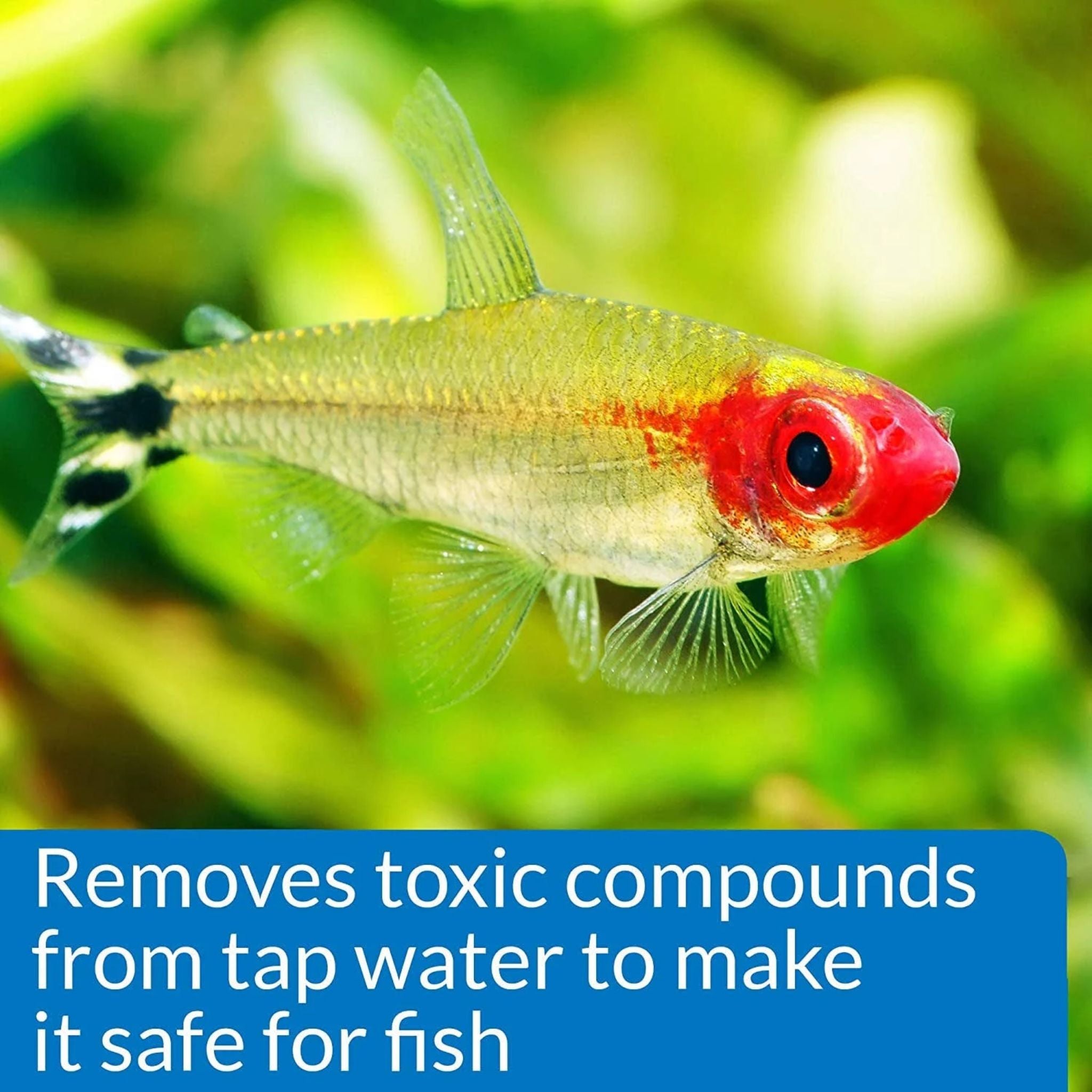API Proper PH Freshwater Aquarium Water PH Stabiliser