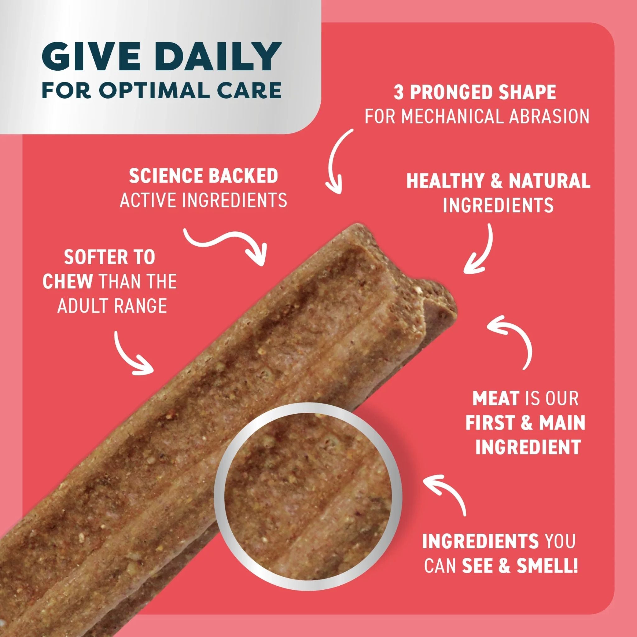 Bell and Bone Puppy Dental Chews - Beef and Coconut