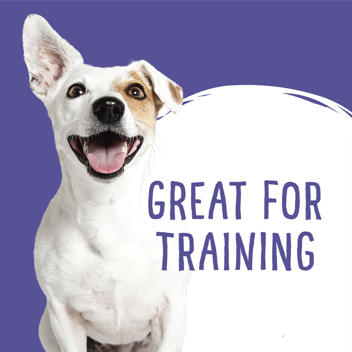 Love'em graphic of a Jack Russell terrier on purple beside the words 'great for training'