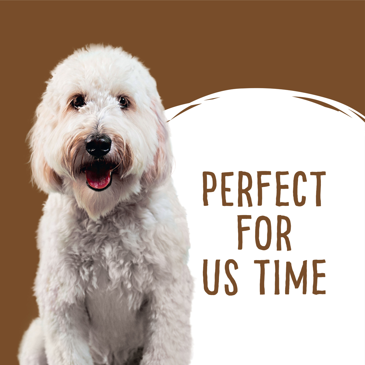 Love'em graphic of a white labradoodle on brown beside the words 'perfect for us time'
