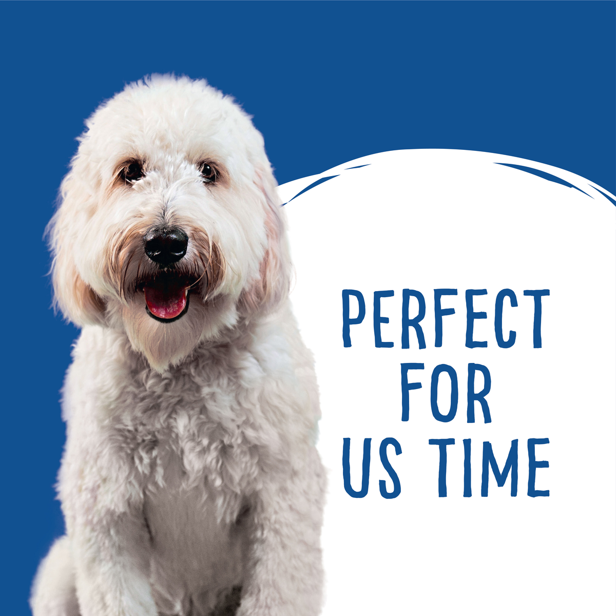 Love'em graphic of a white labradoodle beside the words 'perfect for us time'