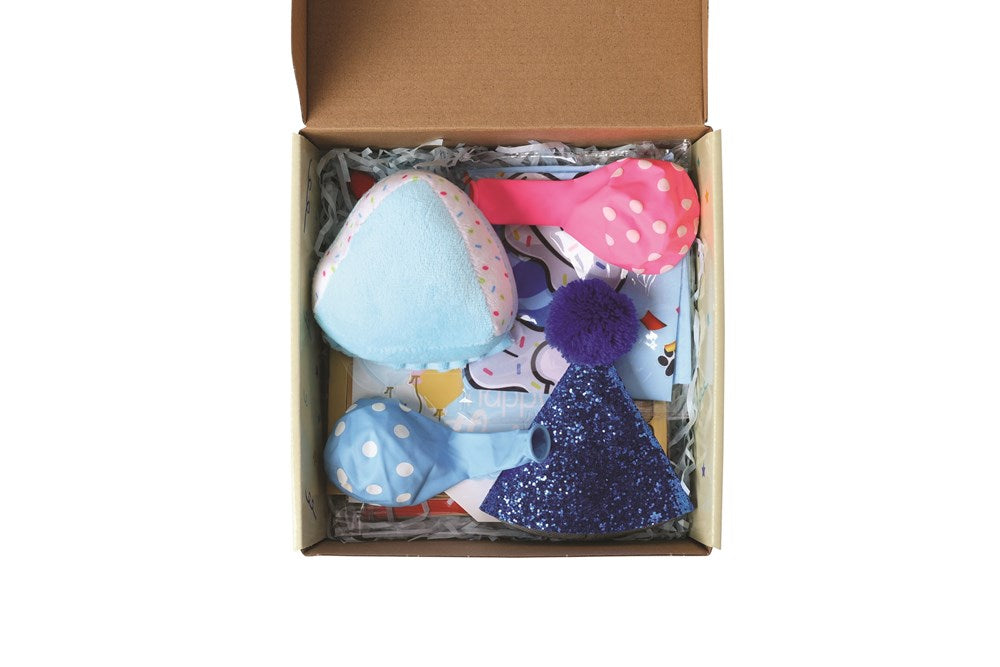 M-Pets PARTY TIME Dog Birthday Set