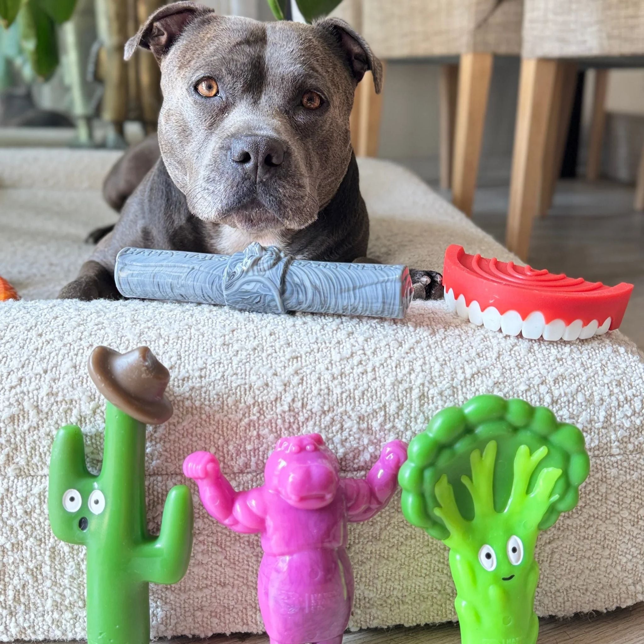 Happy Staffy Co Chomp-O-Potamus Dog Toy