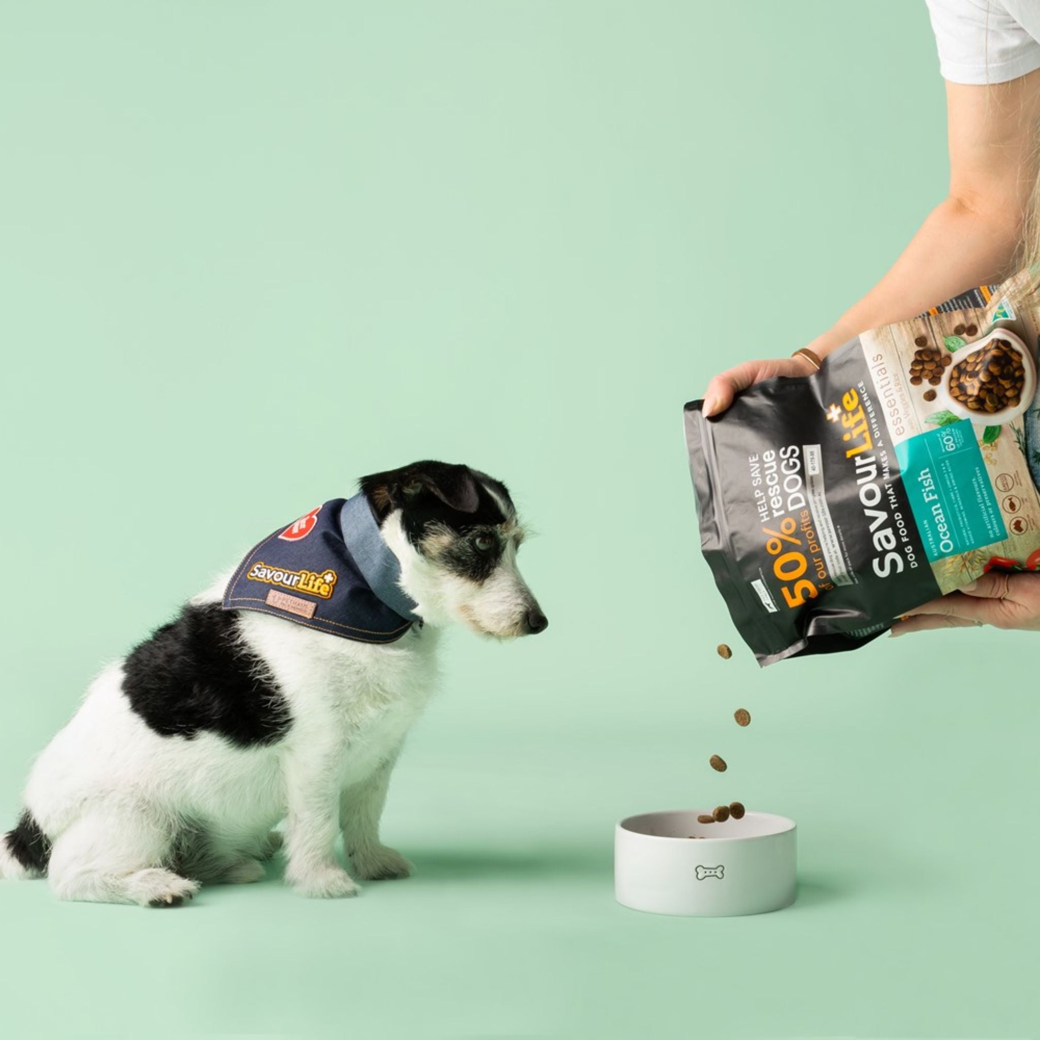 SavourLife Essentials Australian Ocean Fish Dry Dog Food