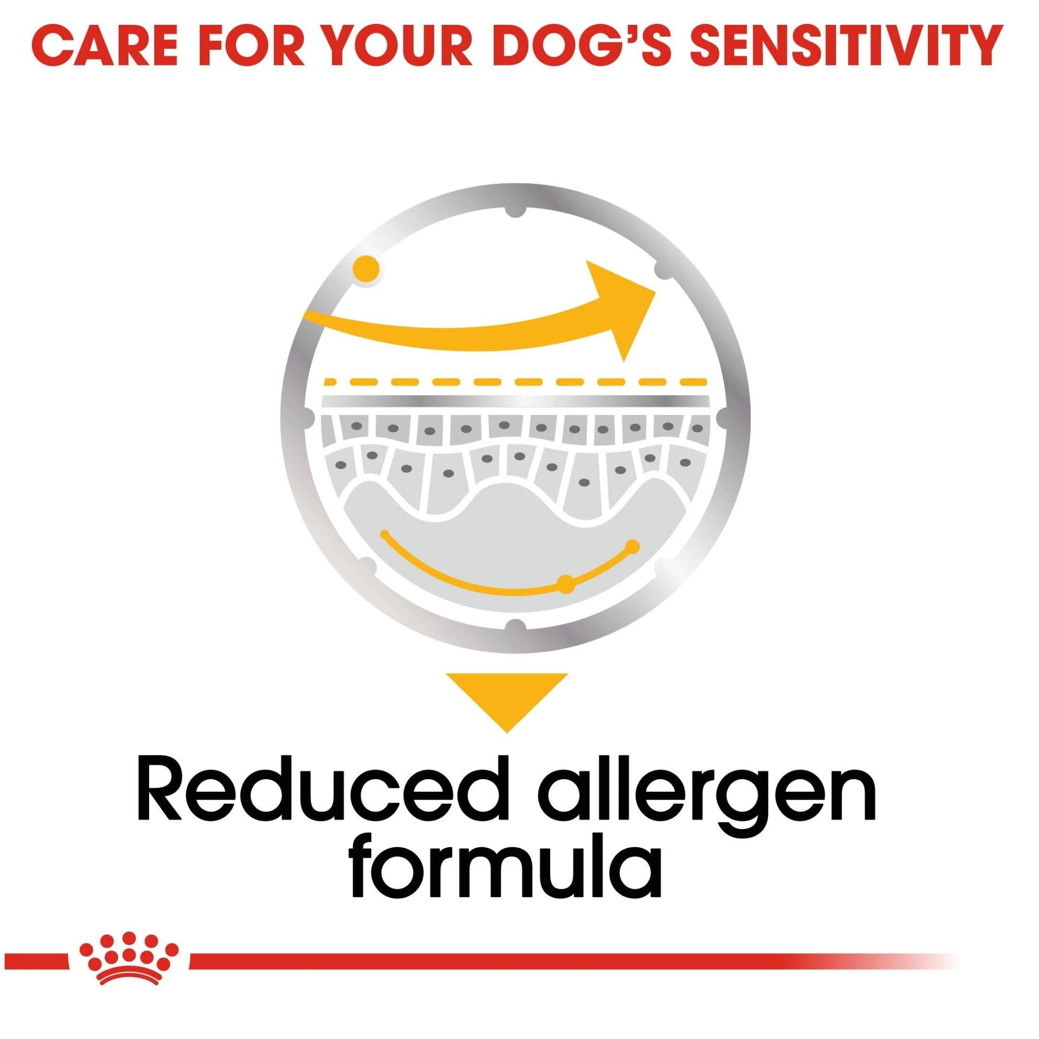 Royal Canin Dermacomfort Loaf Wet Dog Food