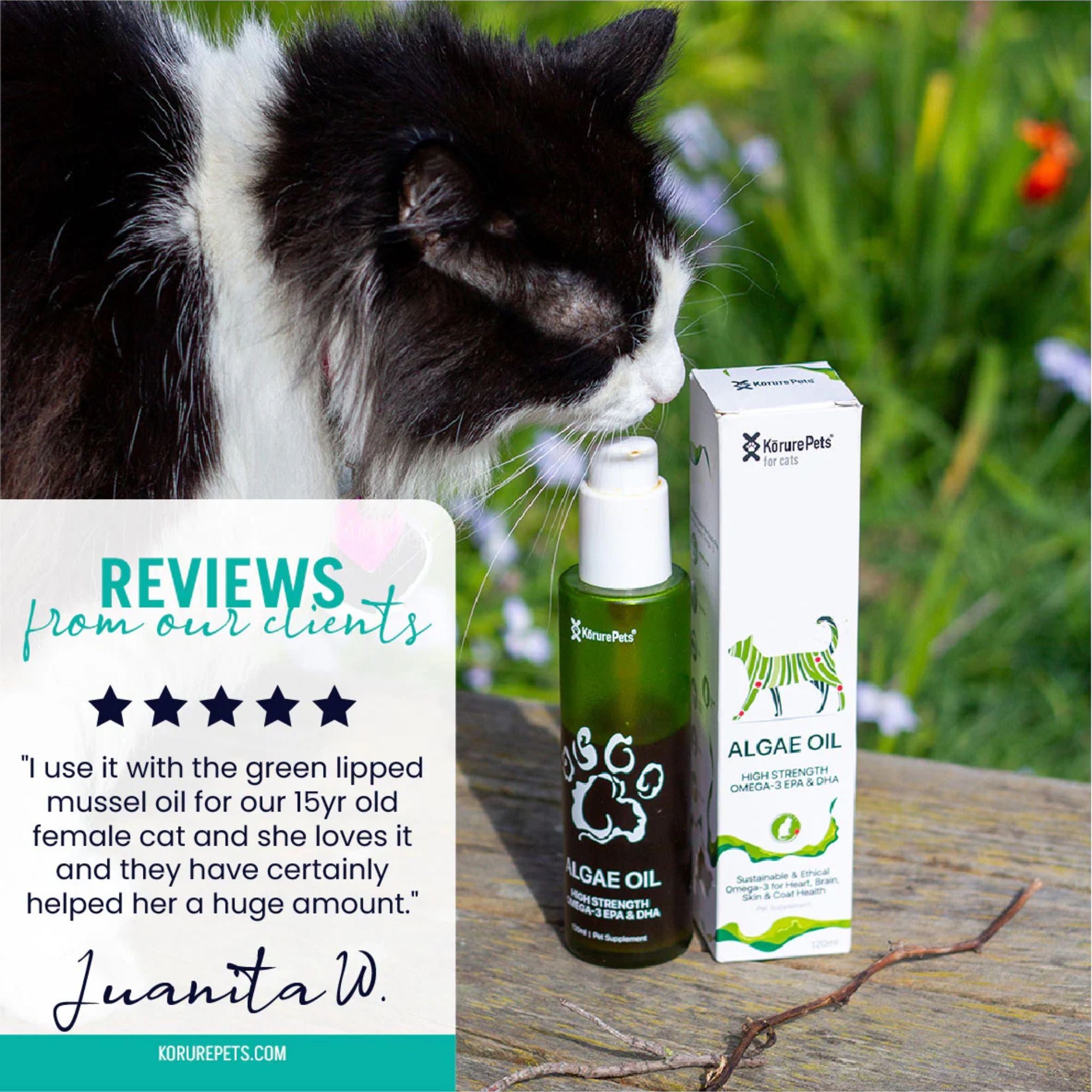 Korure Pets Algae Oil for Cats