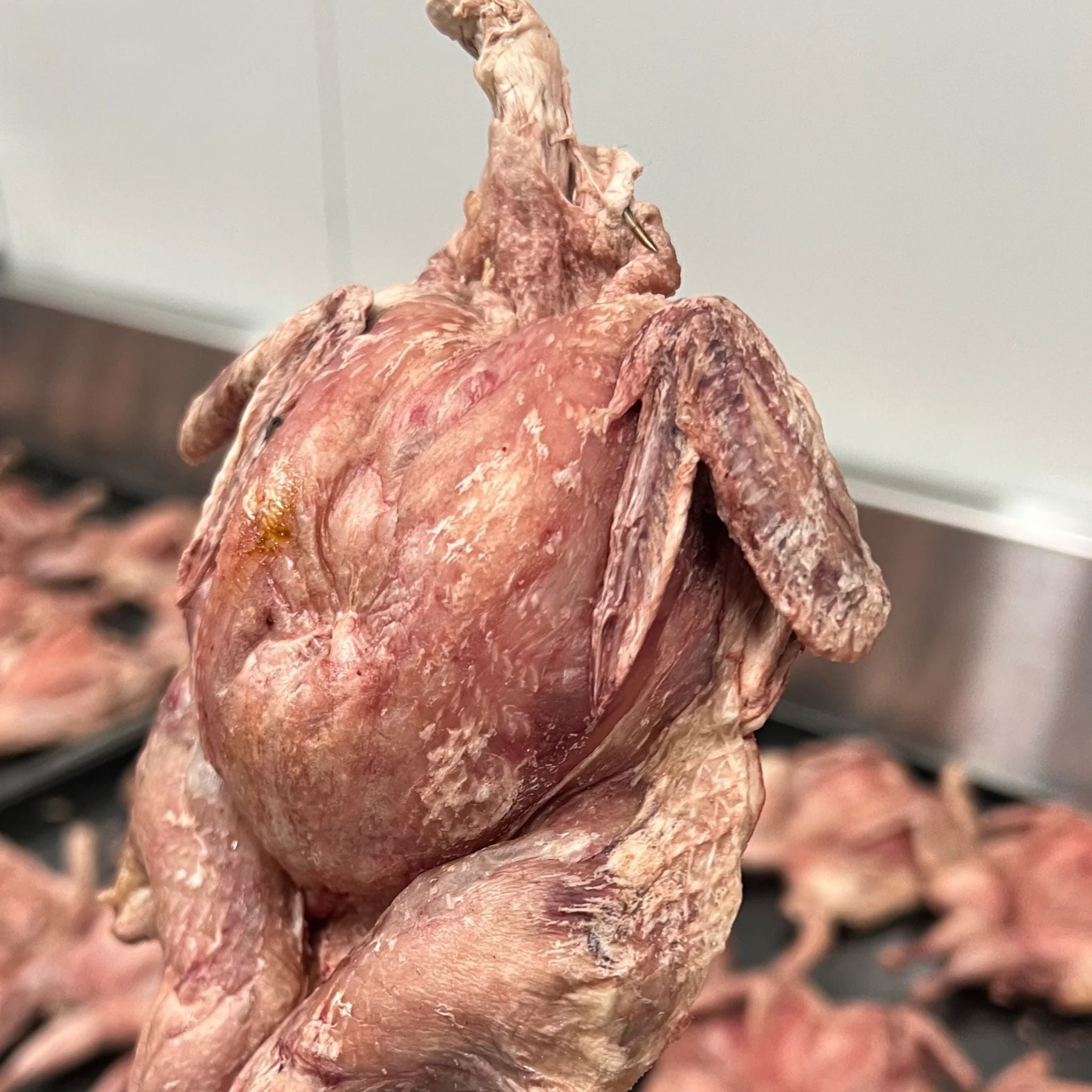 Freezy Paws Freeze Dried Whole Quail Pet Treats for Dogs & Cats