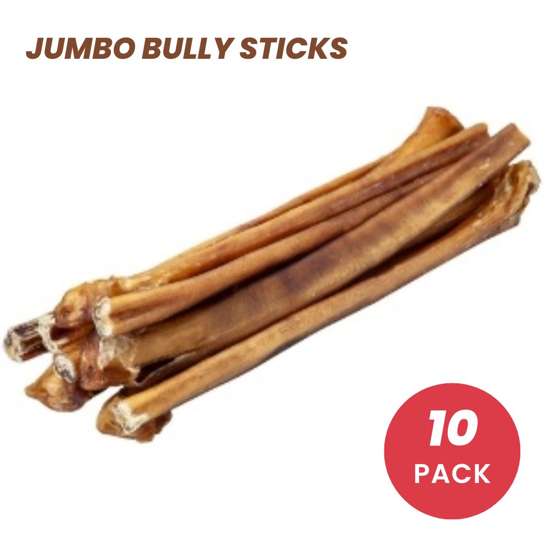 Blackdog Jumbo Bully Sticks Dog Treats - 10Pk | PeekAPaw Pet Supplies