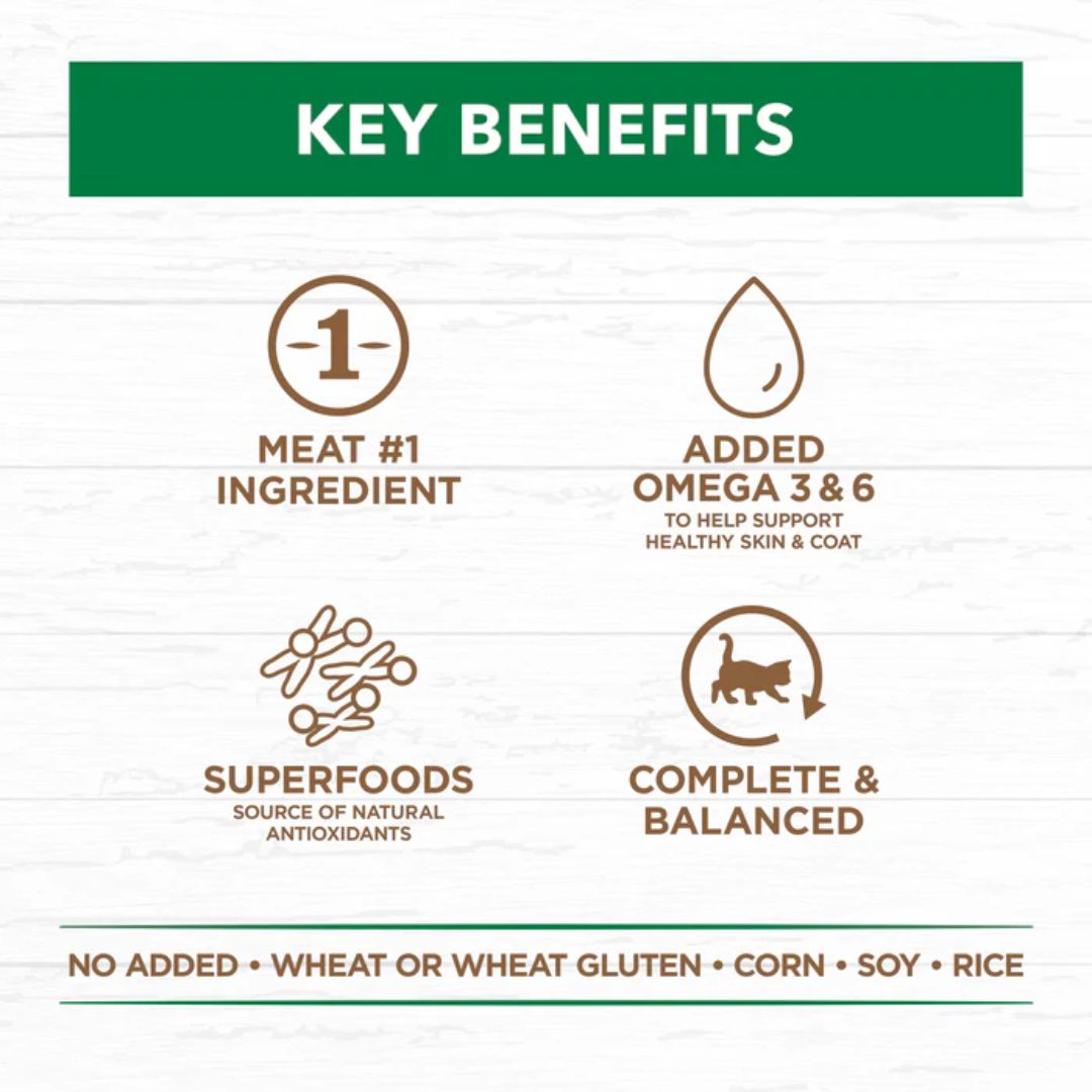 Ivory Coat Grain Free Adult Wet Cat Food Chicken & Lamb in Gravy