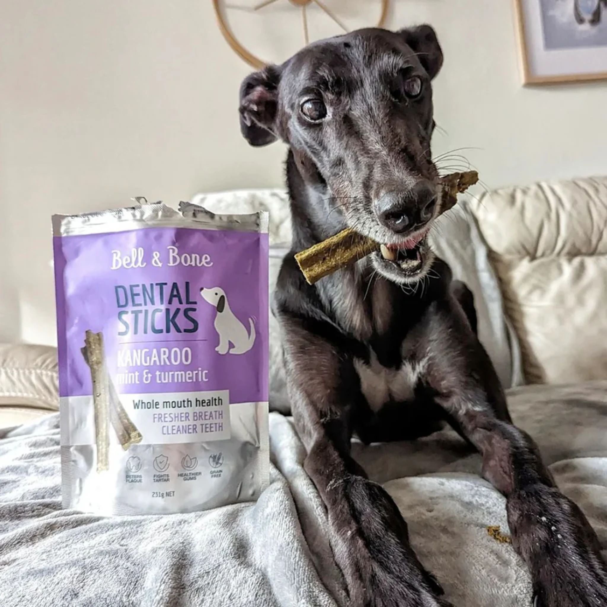 Bell and Bone Dental Sticks for Adult Dogs - Kangaroo, Mint & Turmeric