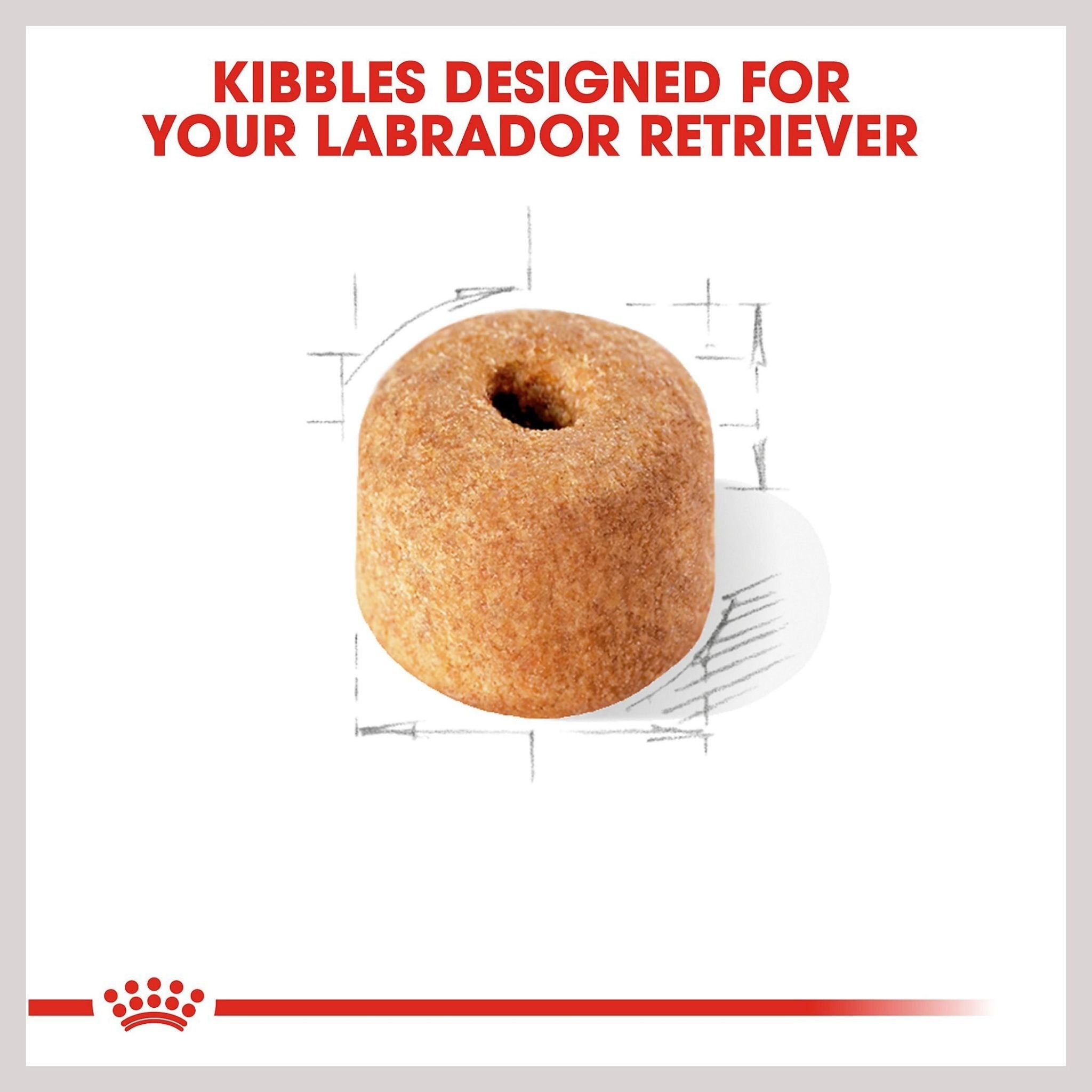 Royal Canin Labrador Retriever