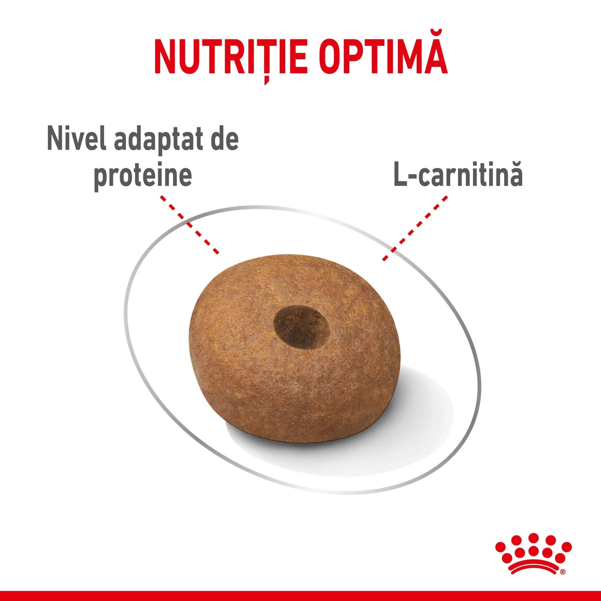 Royal Canin Medium Light Weight Care