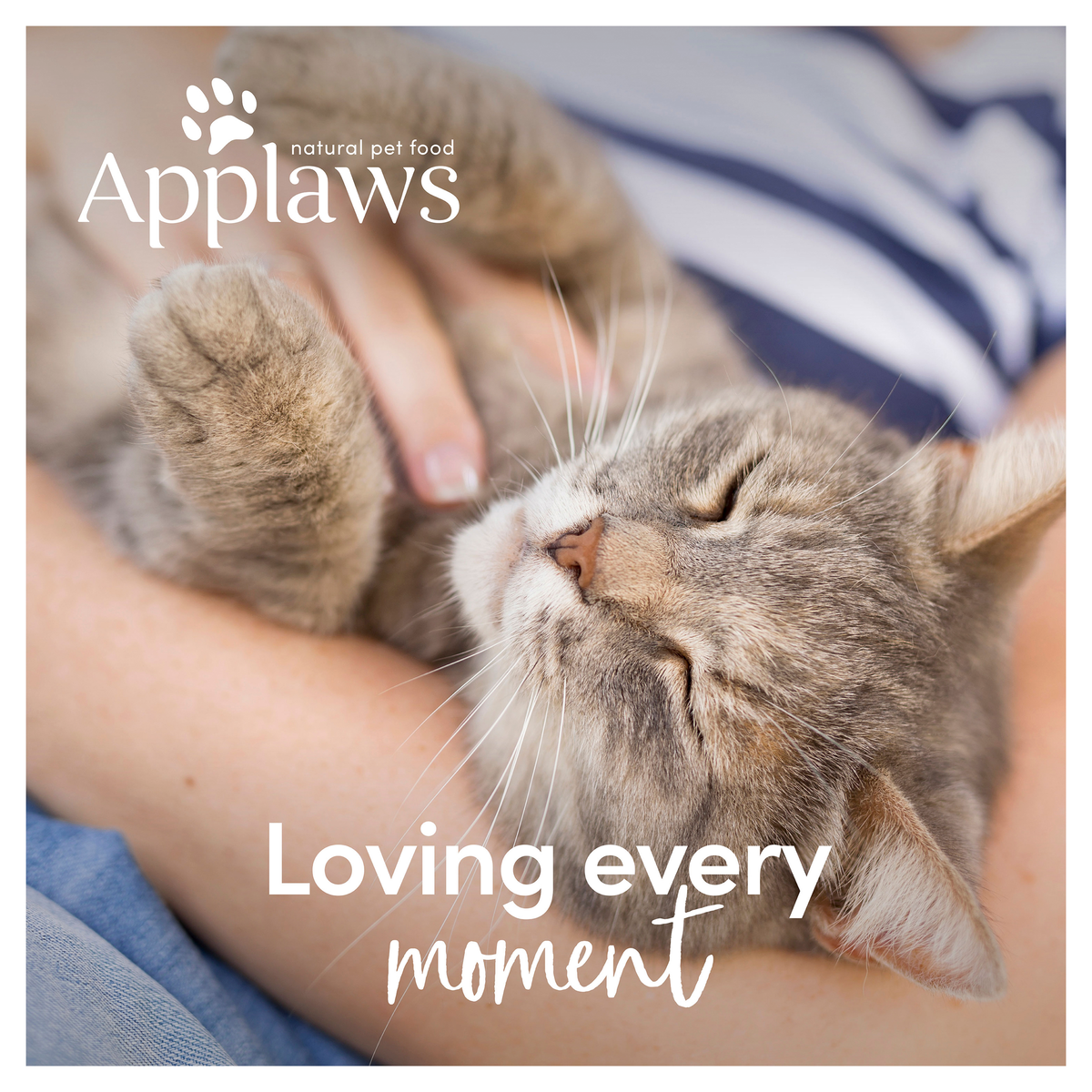 Applaws lifestyle image: a person cradling a tabby cat, loving every moment