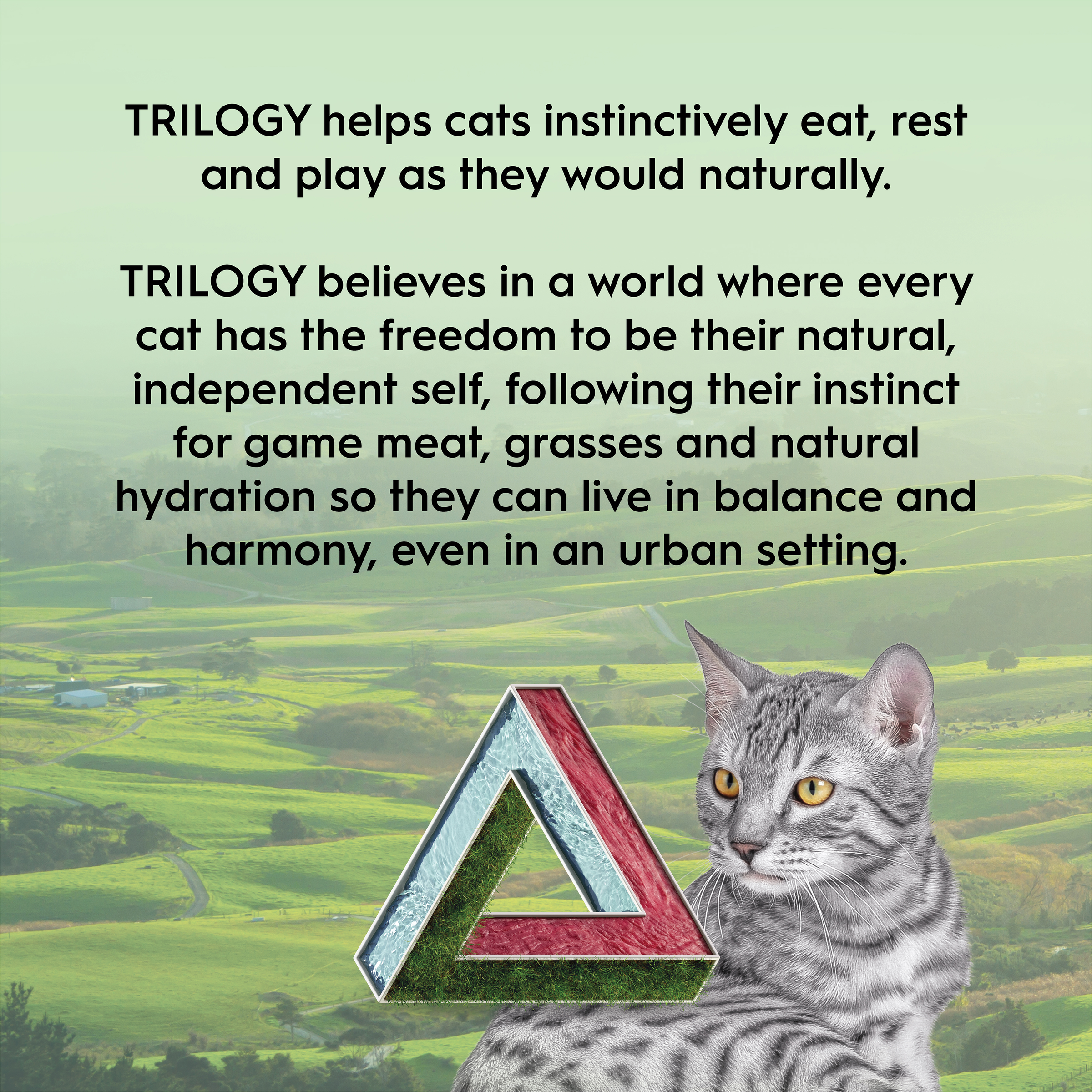 Trilogy Freeze Dried Cat Treats Lamb product detail 7