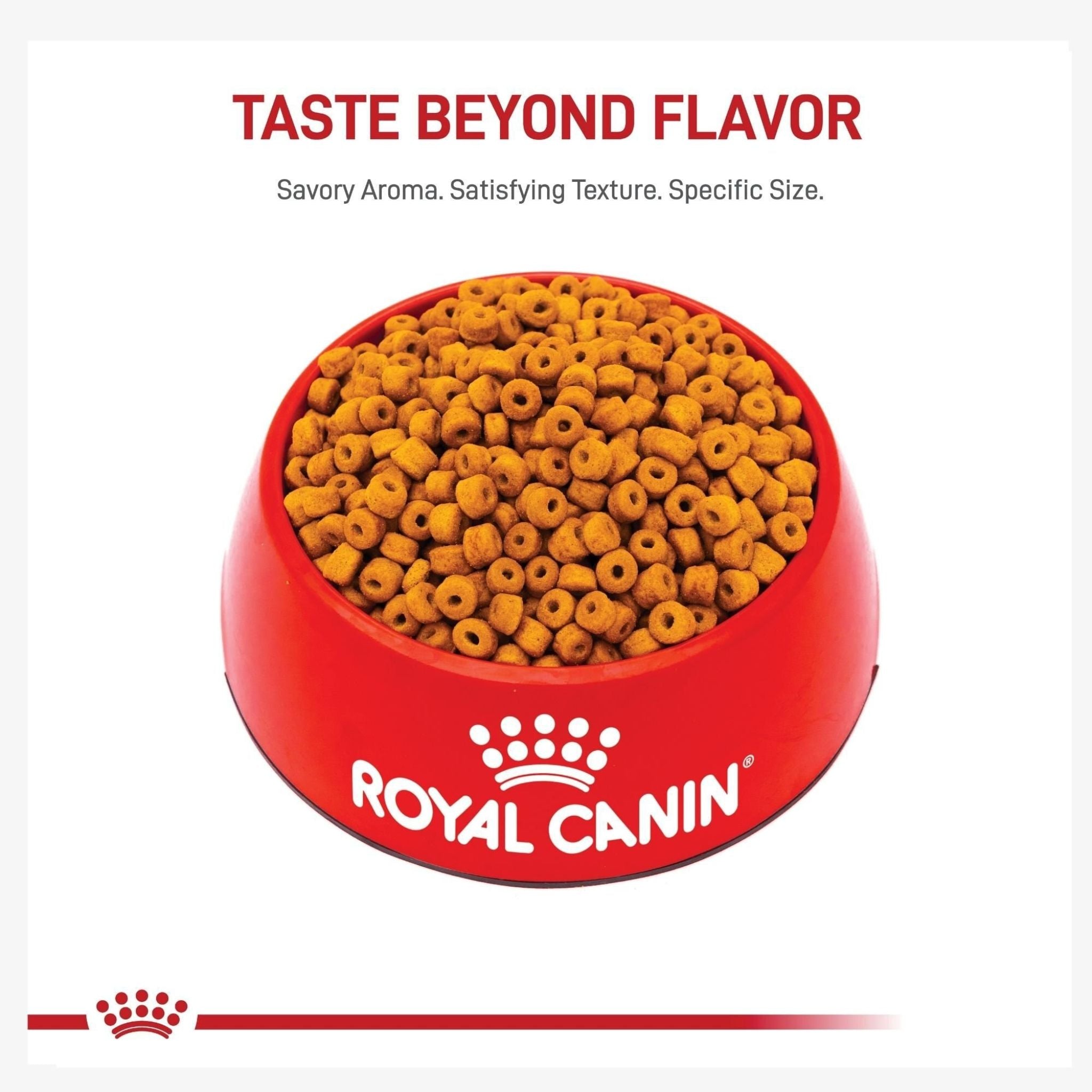 Royal Canin Labrador Retriever Puppy