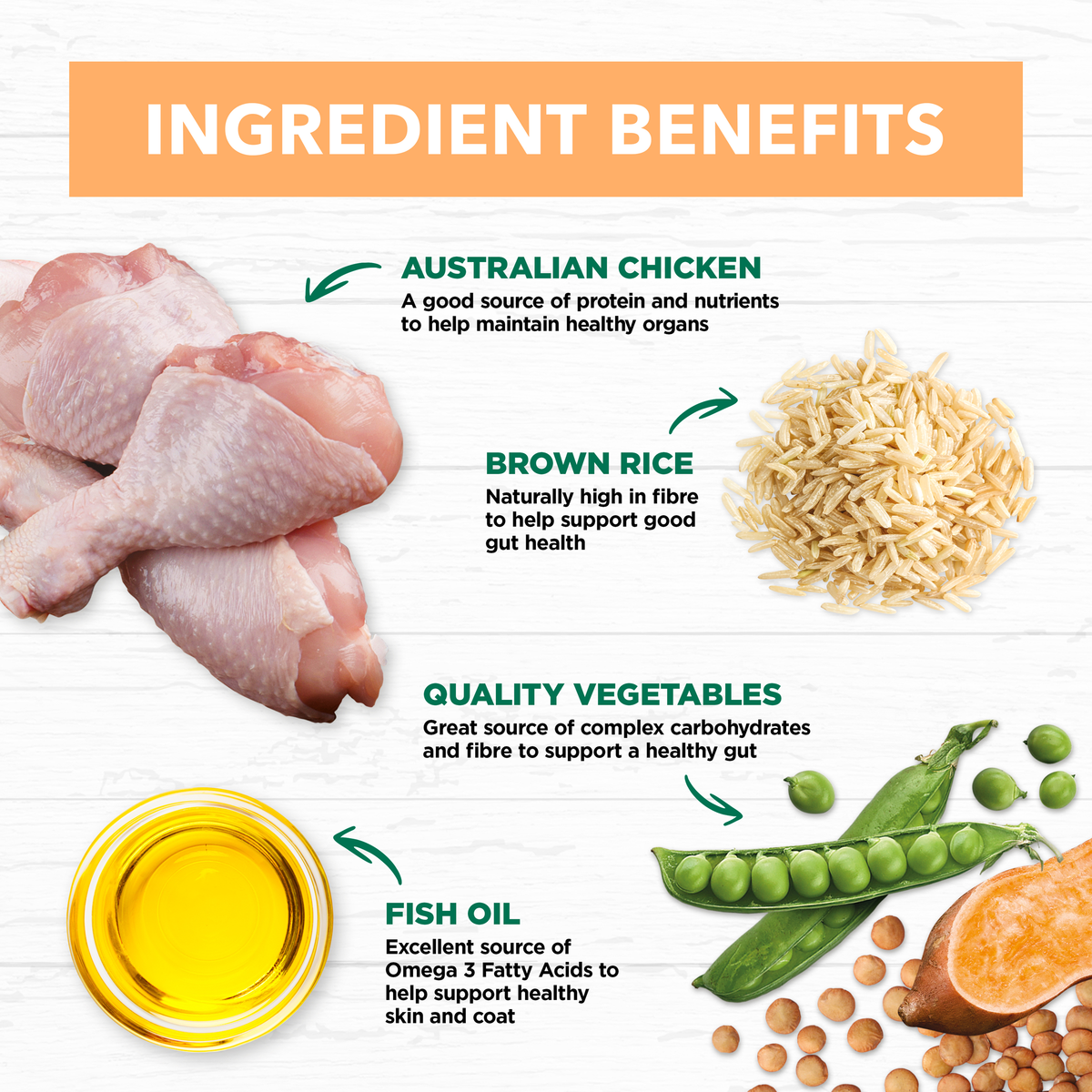 Ivory Coat ingredient benefits: Australian chicken, brown rice, vegetables and fish oil
