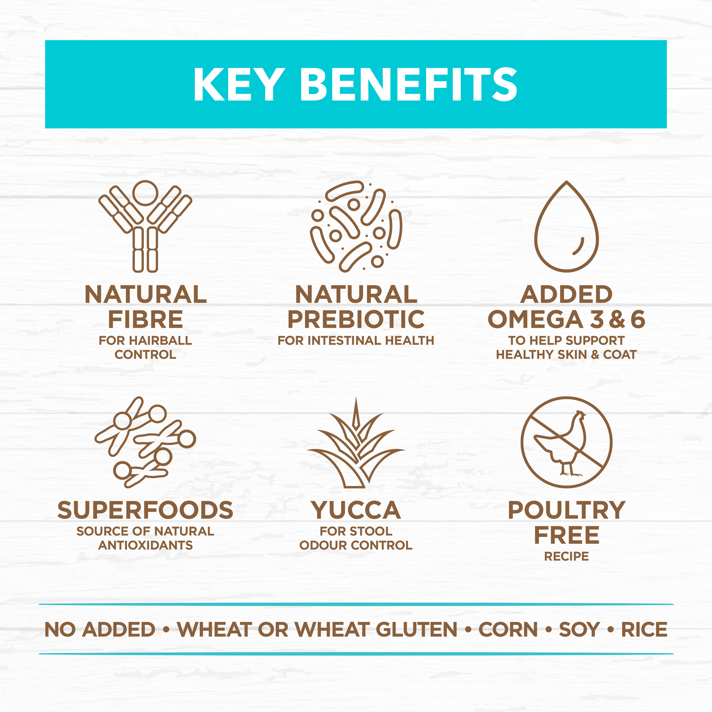 Ivory Coat Grain Free Dry Kitten Food Ocean Fish & Salmon product detail 1