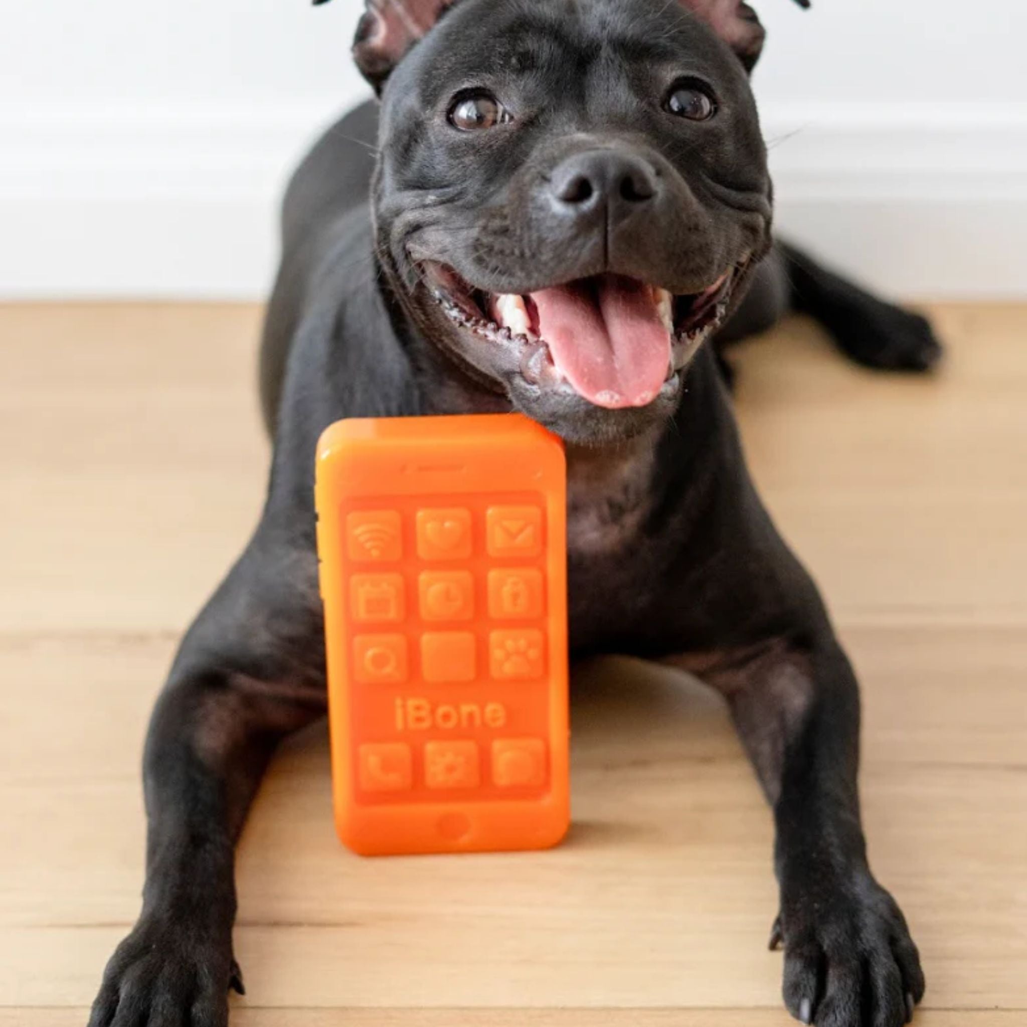Happy Staffy Co Chewzilla Ibone Dog Toy