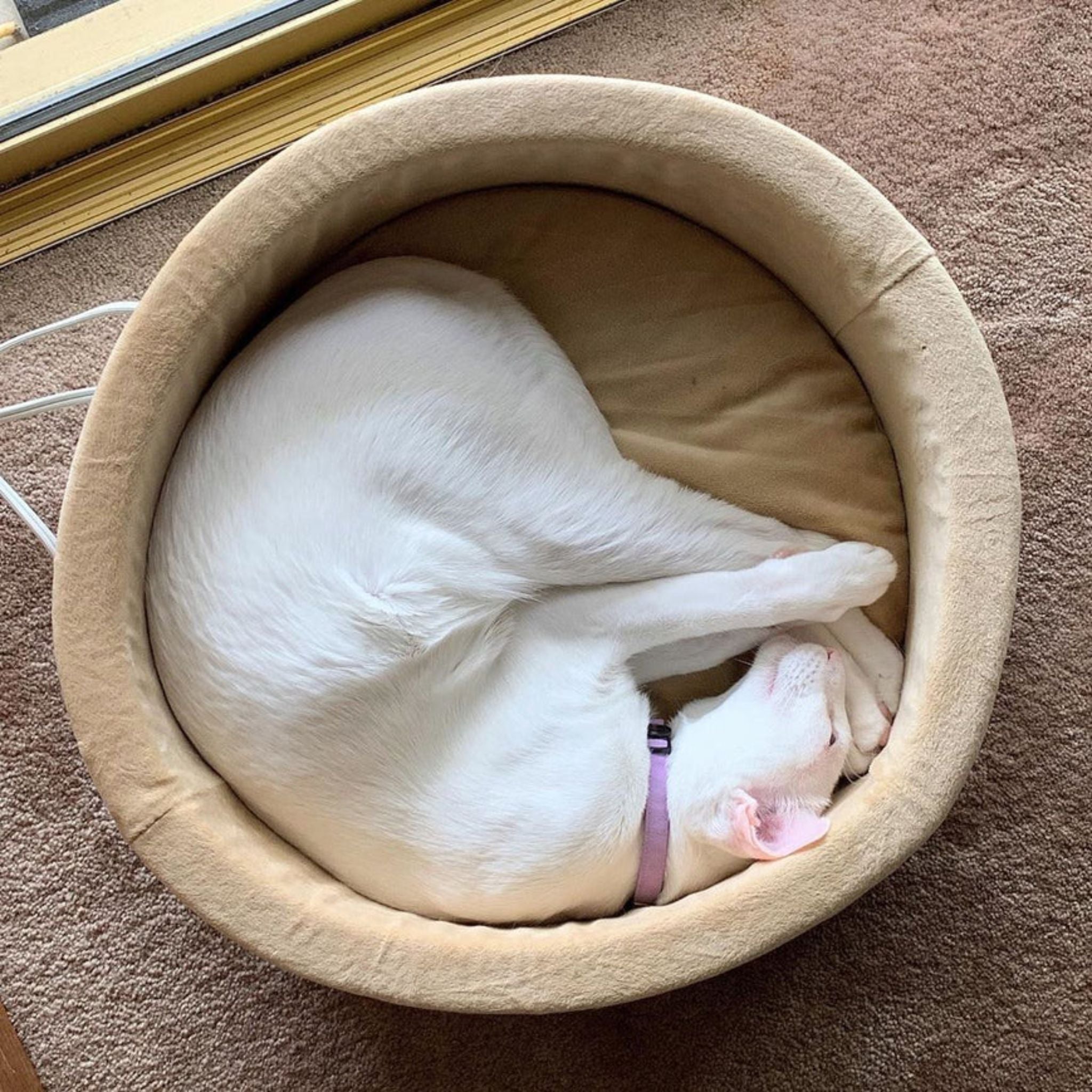 K&H Thermo-Kitty Bed Heated Cat Bed