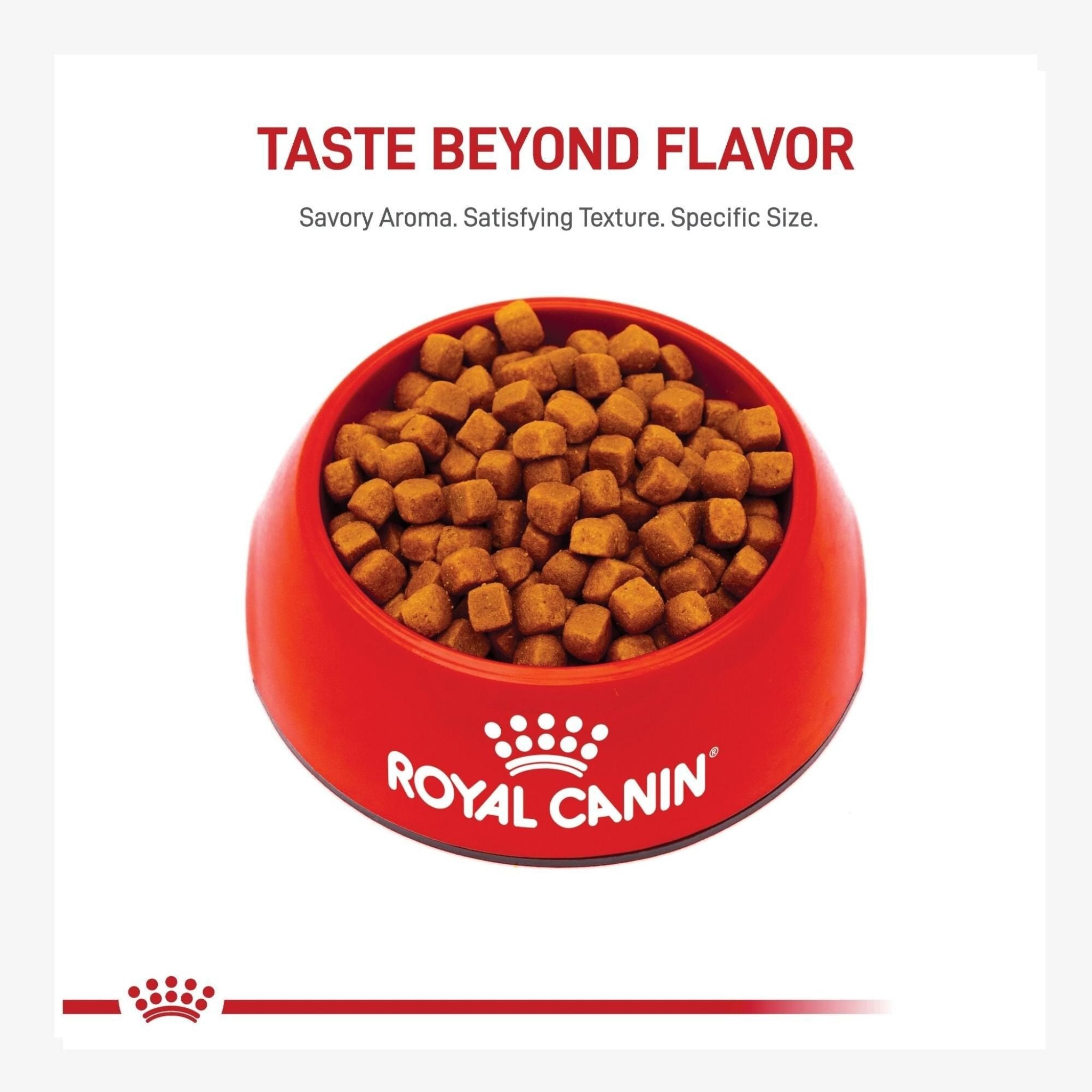 Royal Canin Dry Cat Food Maine Coon Kitten