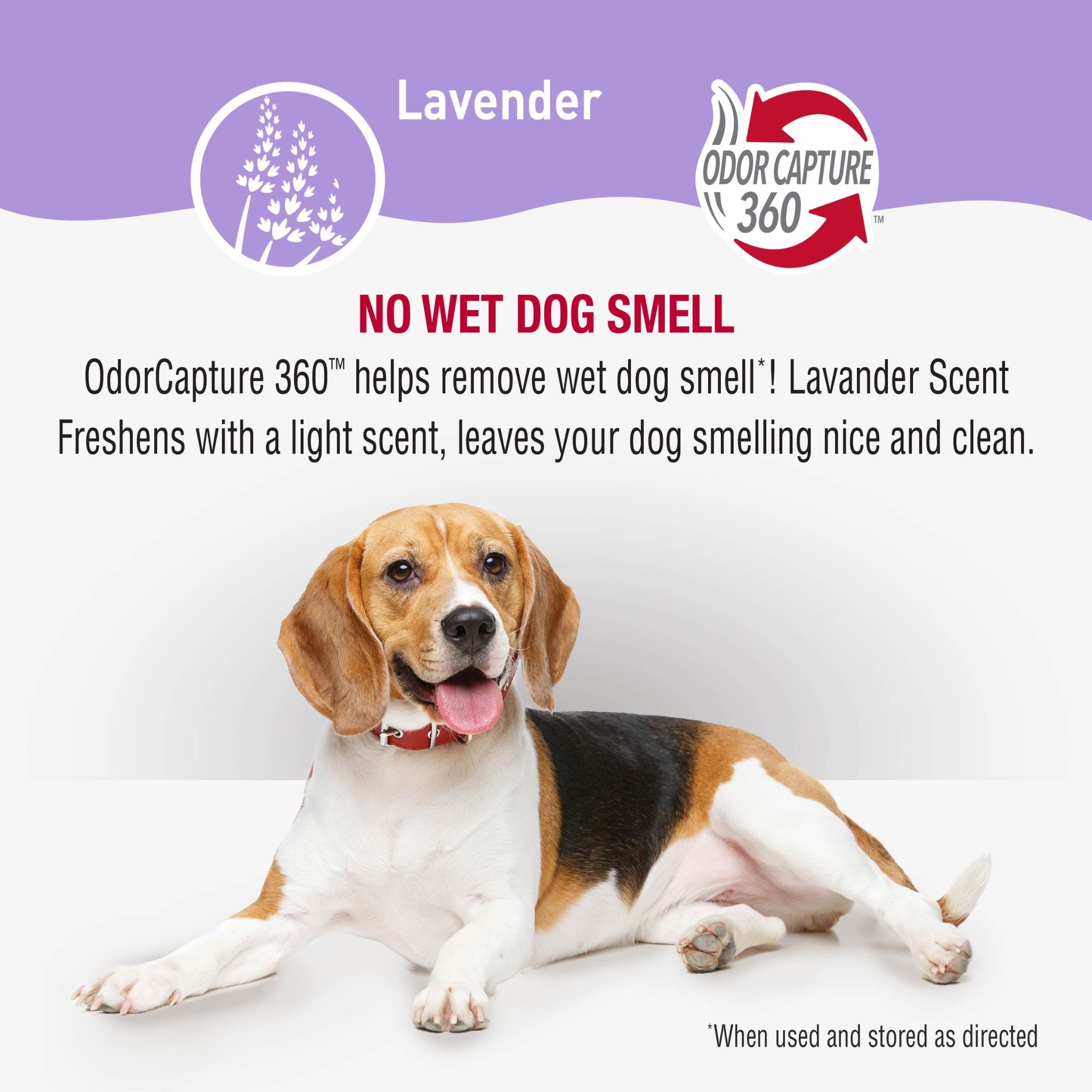 Nature's Miracle Dog Lavender Shampoo & Conditioner | PeekAPaw Pet Supplies