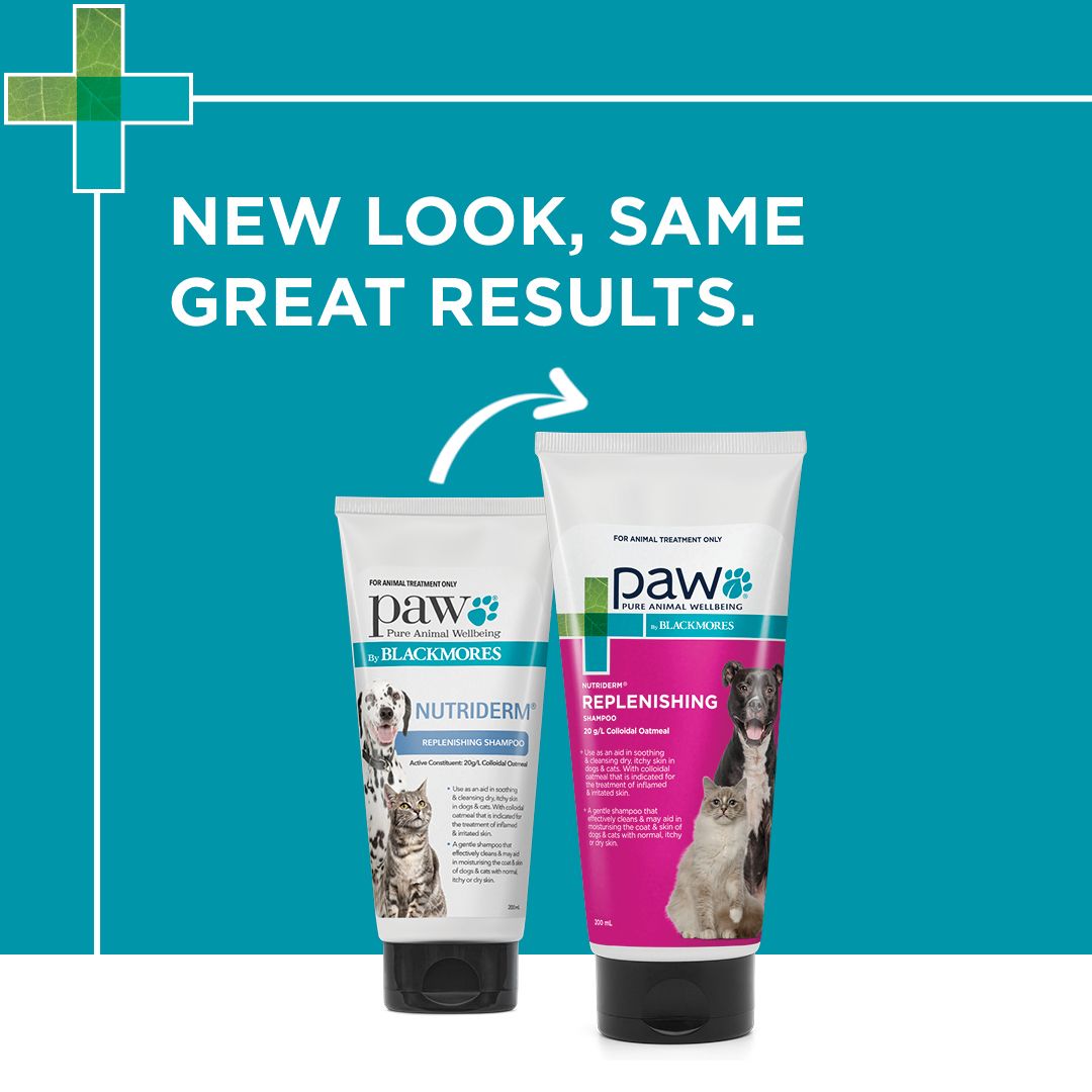 PAW by Blackmores NutriDerm Replenishing Shampoo