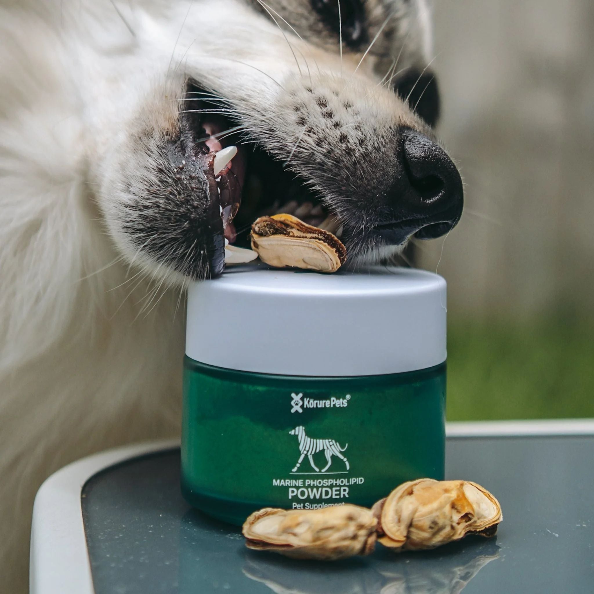 Korure Pets Marine Phospholid Powder for Dogs