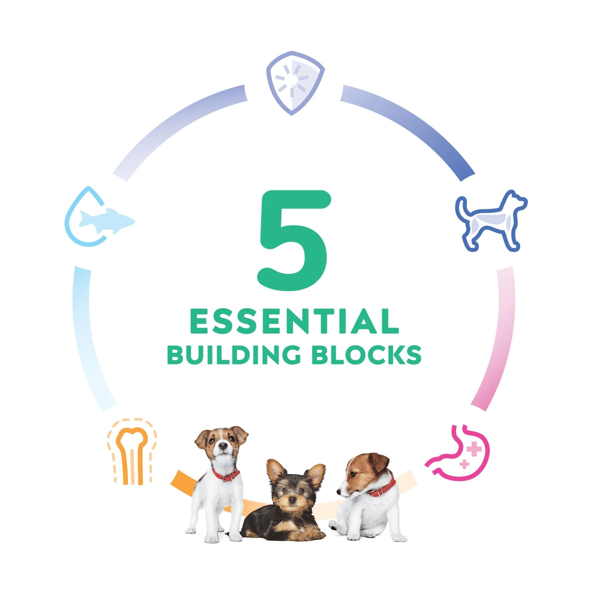 Hill's Science Diet Dry Dog Food Puppy Small & Mini Chicken & Brown Rice Recipe