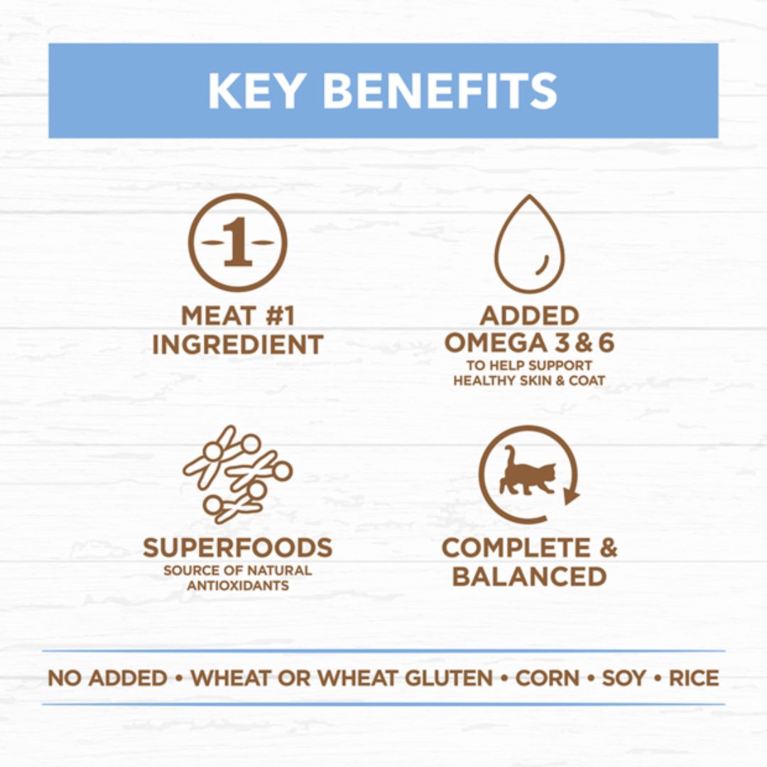 Ivory Coat Grain Free Kitten Wet Cat Food Chicken & Ocean Fish in Jelly