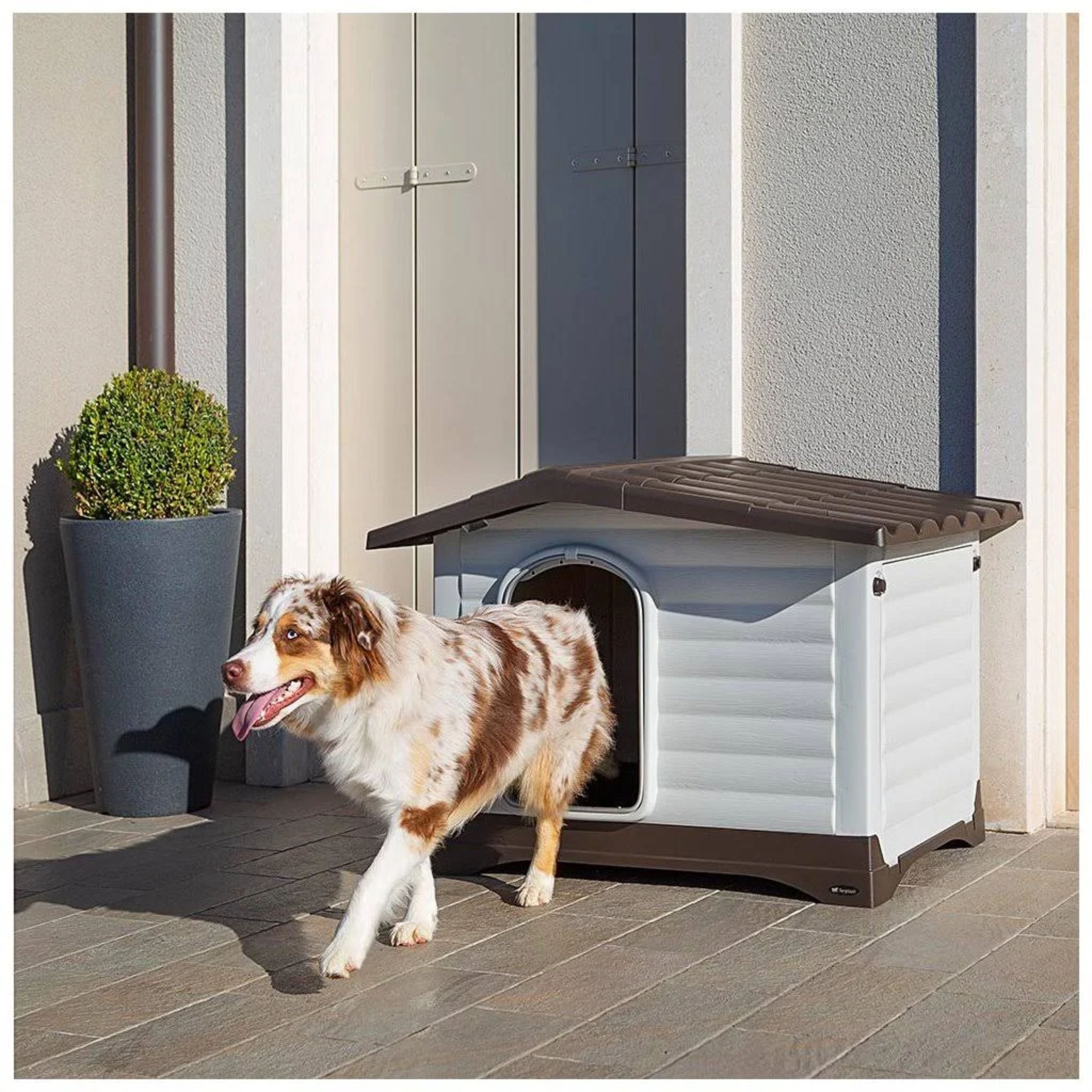 Ferplast DOGVILLA Thermoplastic Resin Dog Kennel & Accessories
