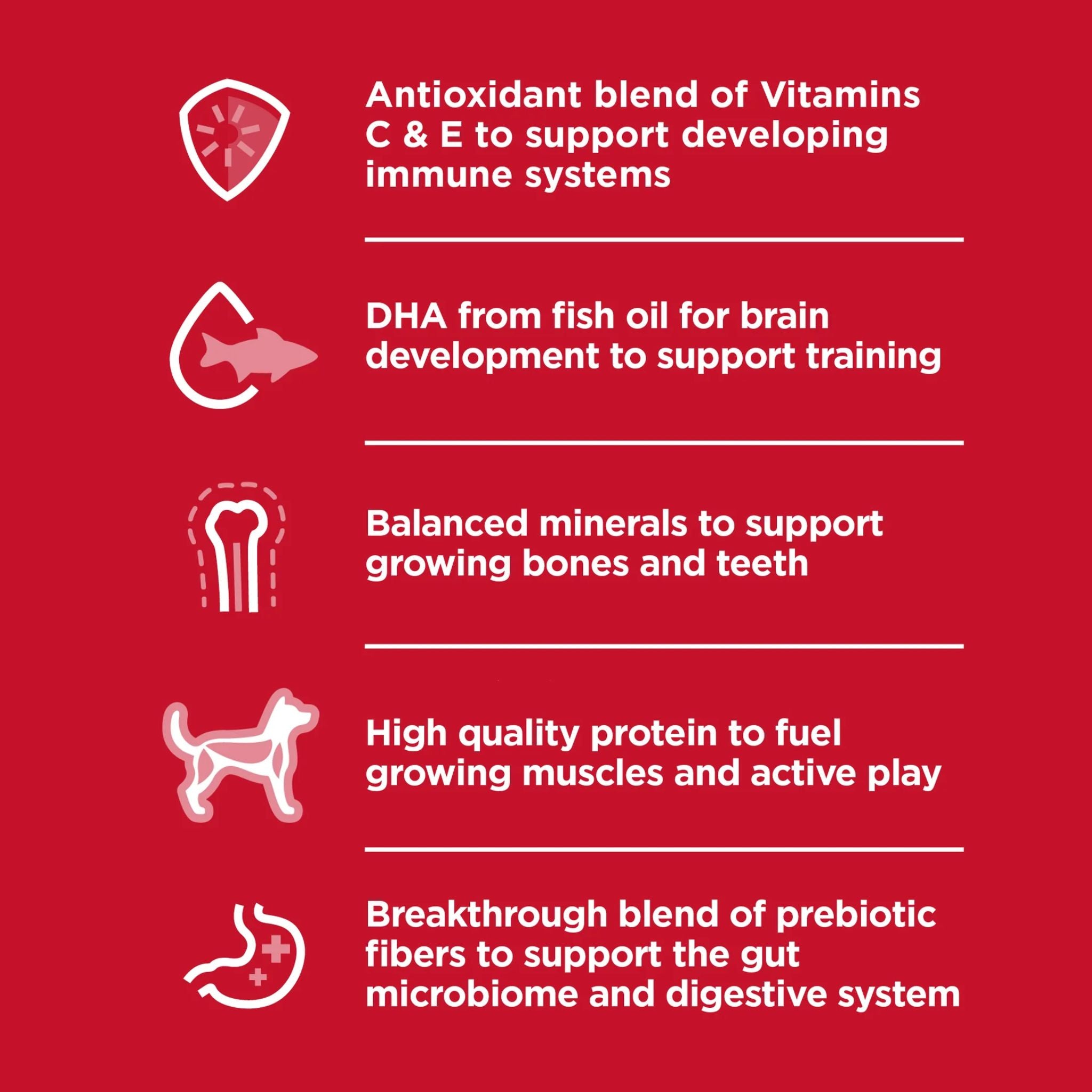 Hill's Science Diet Dry Dog Food Puppy Small & Mini Chicken & Brown Rice Recipe