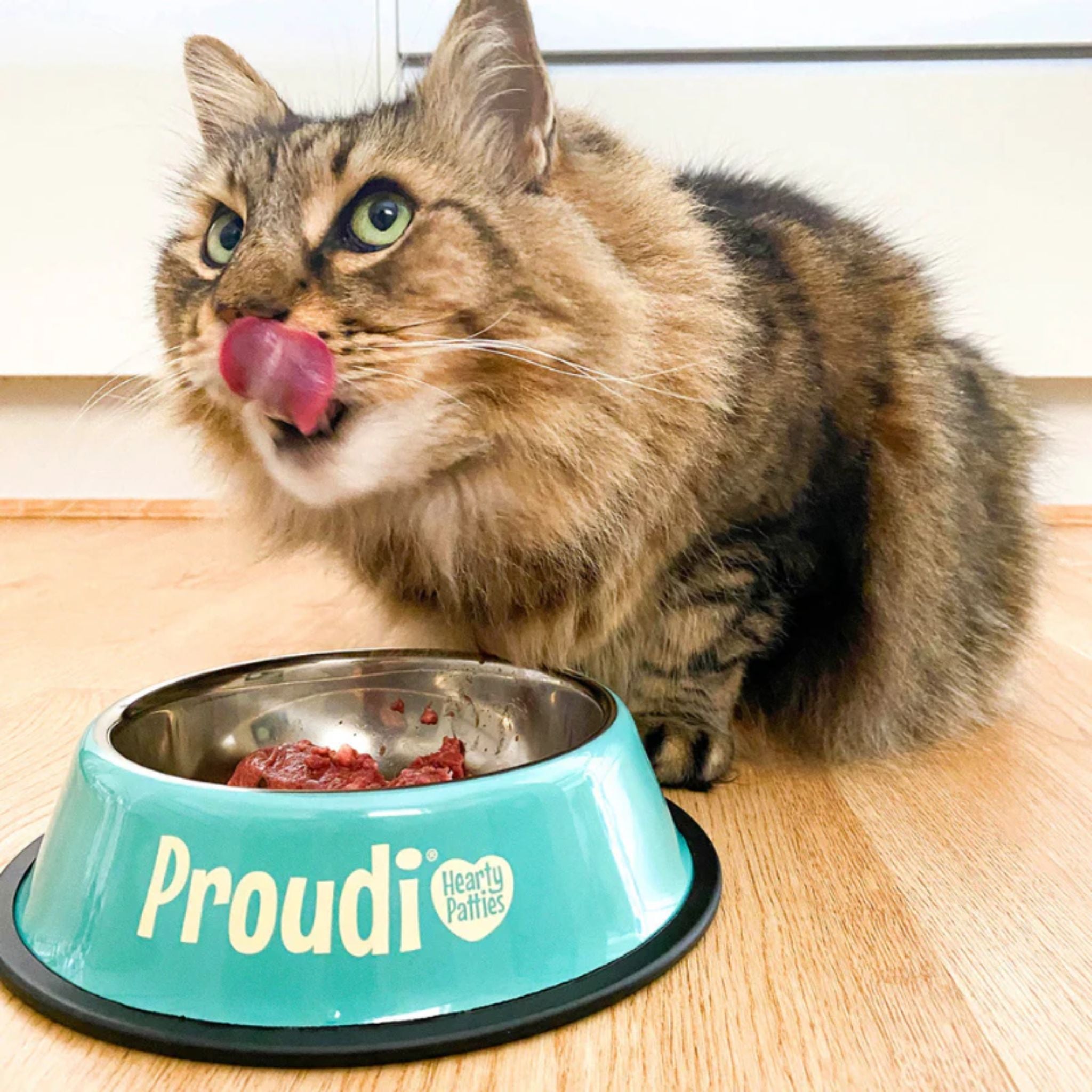 Proudi Kangaroo and Beef Raw Patties for Cats