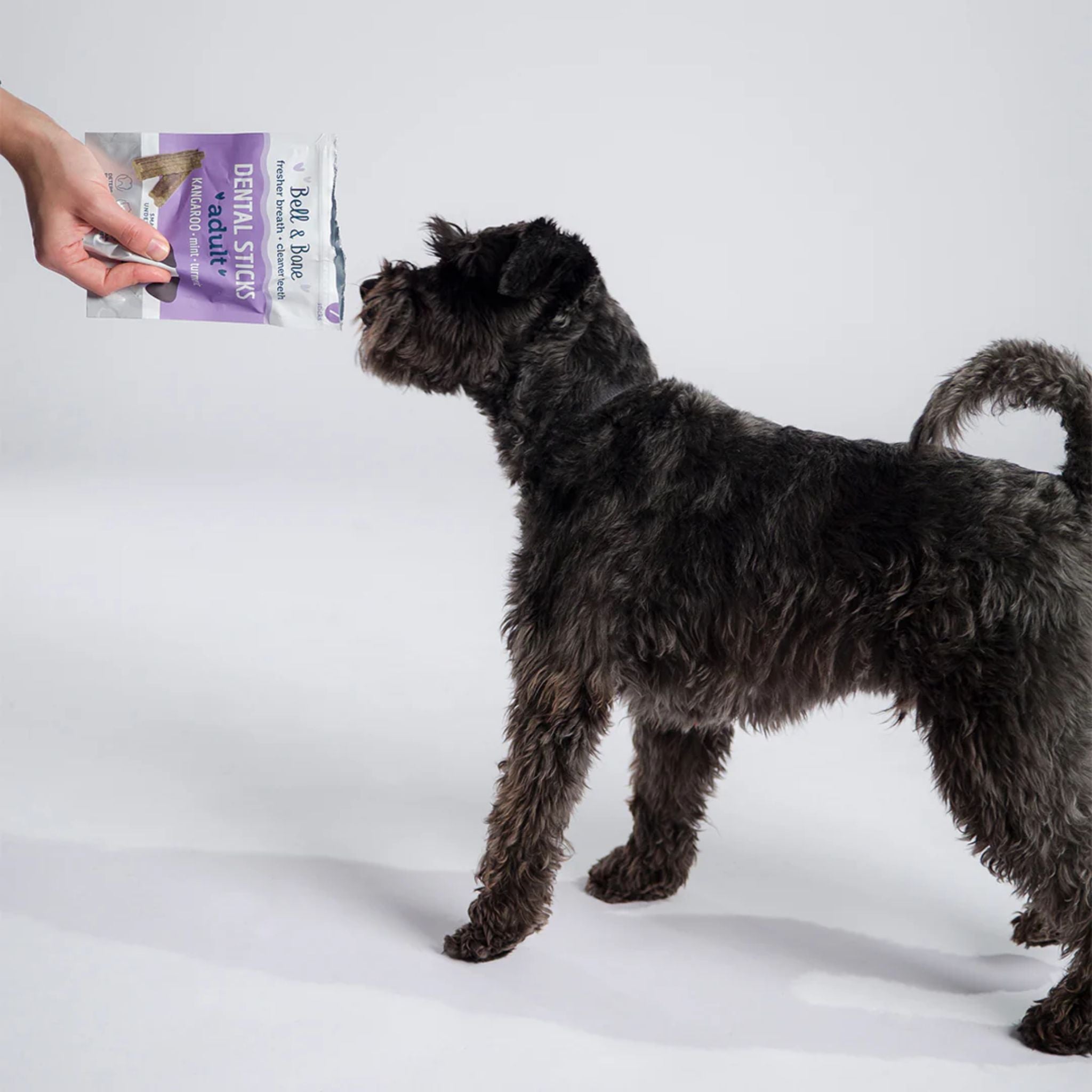 Bell and Bone Dental Sticks for Adult Dogs - Kangaroo, Mint & Turmeric