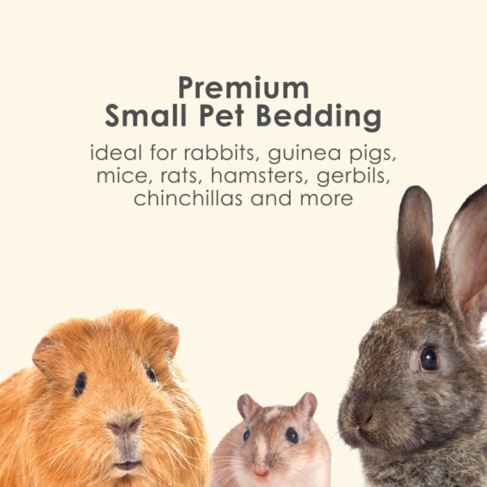 Kaytee Clean & Cozy Colors Kaleidoscope Bedding