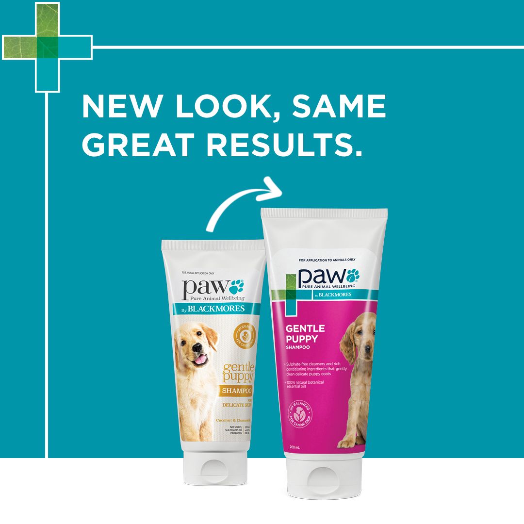 PAW by Blackmores Gentle Puppy Shampoo