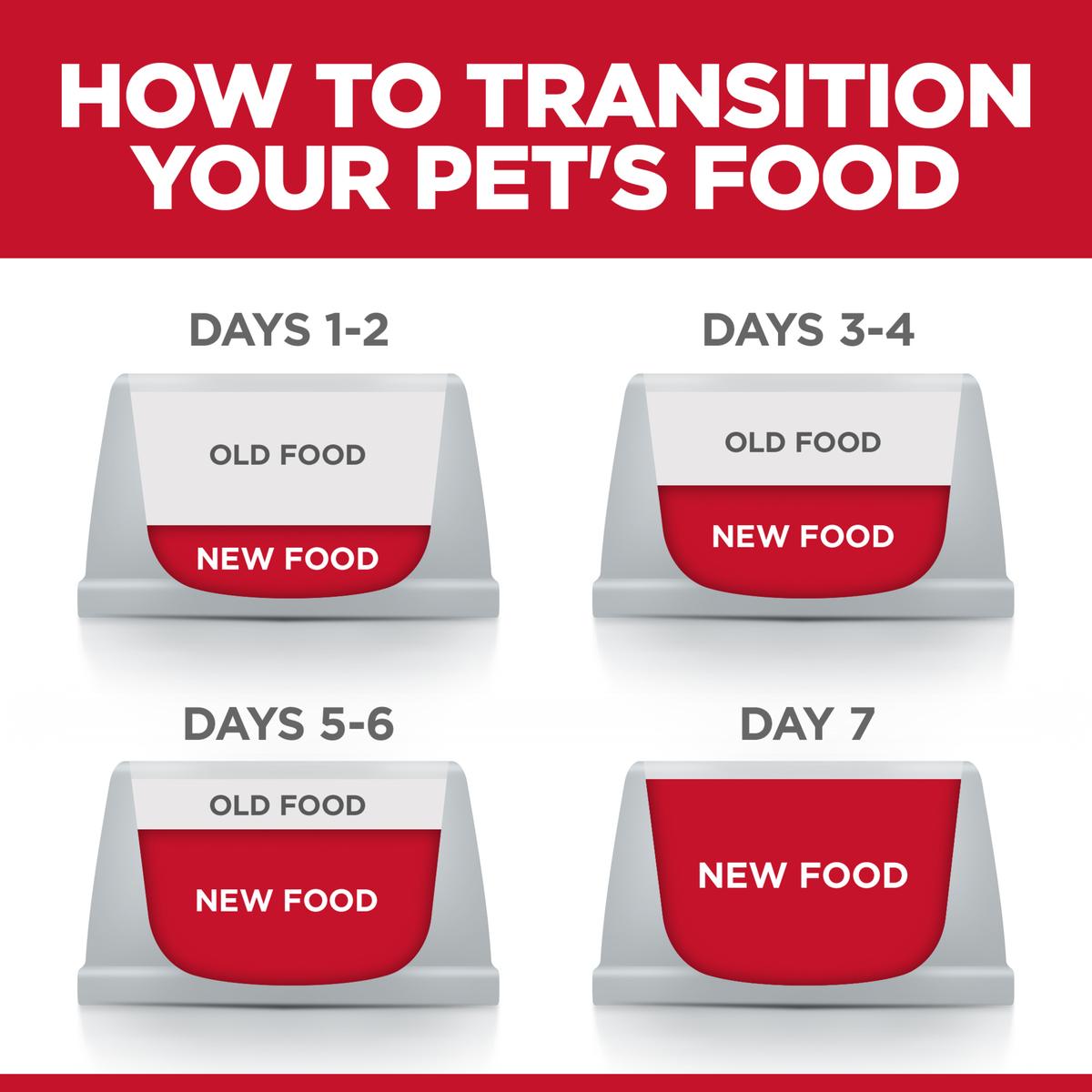 How to transition your pet's food: Hill's seven-day guide mixing old and new food