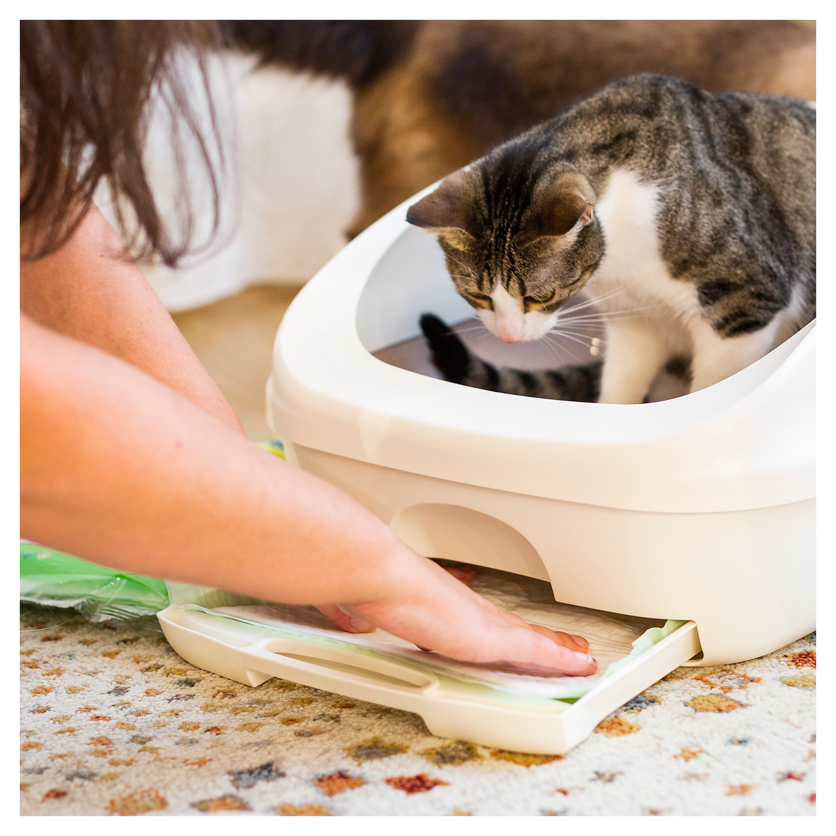 Tabby cat in an Ezi-LockOdour hooded litter box as a woman slides the pad drawer out