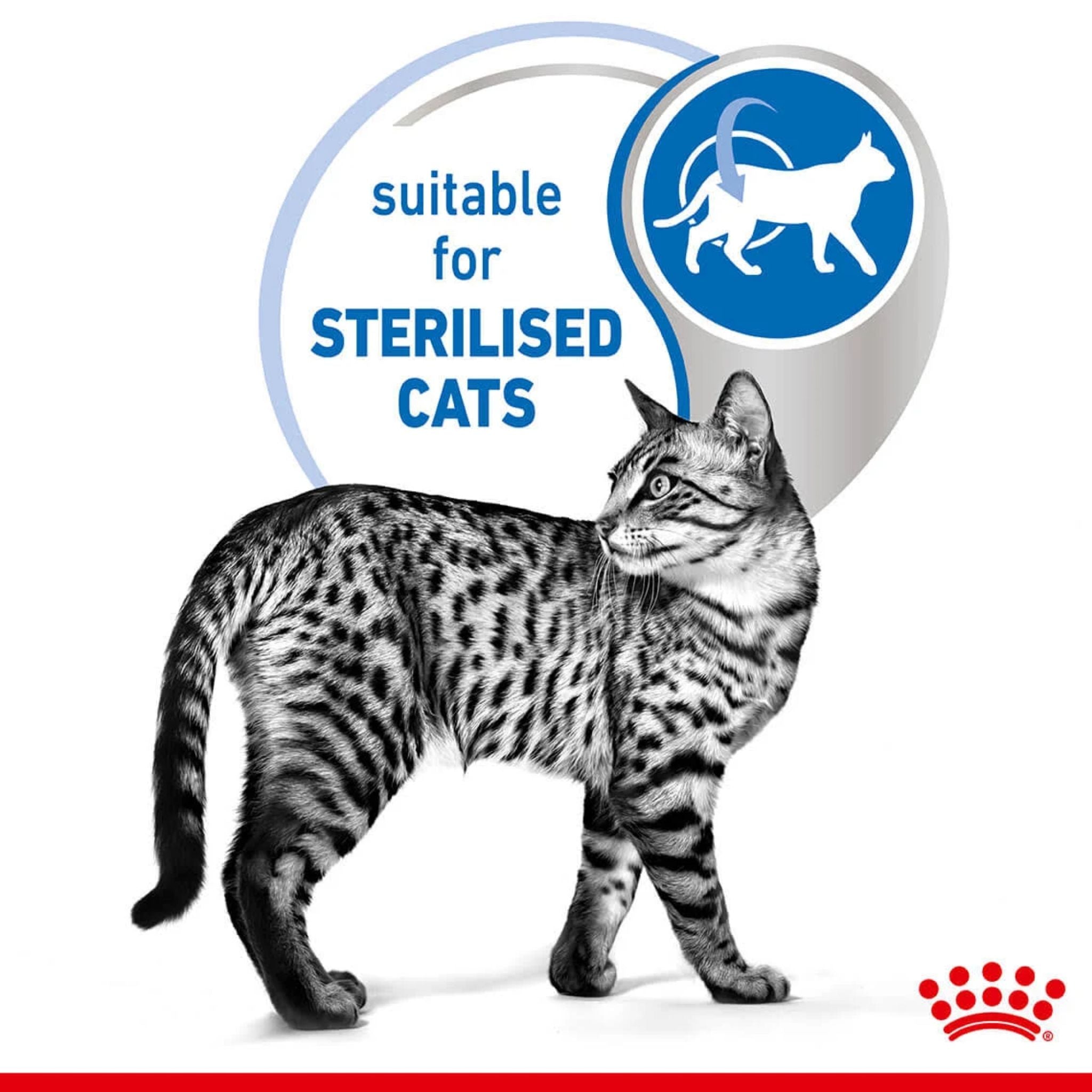 Royal Canin Wet Cat Food Indoor Jelly