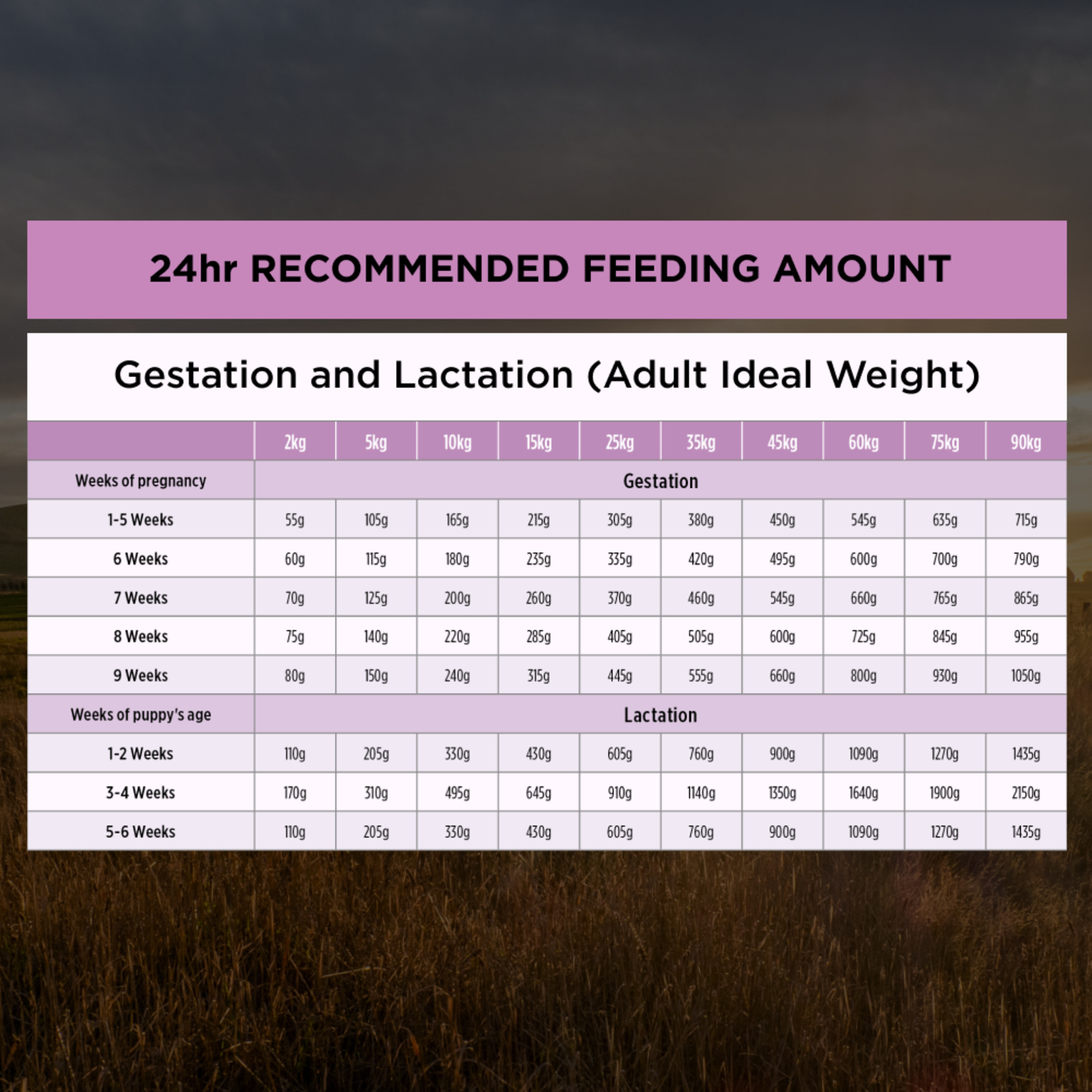 PRO PLAN Performance feeding table for gestation and lactation, by adult ideal weight