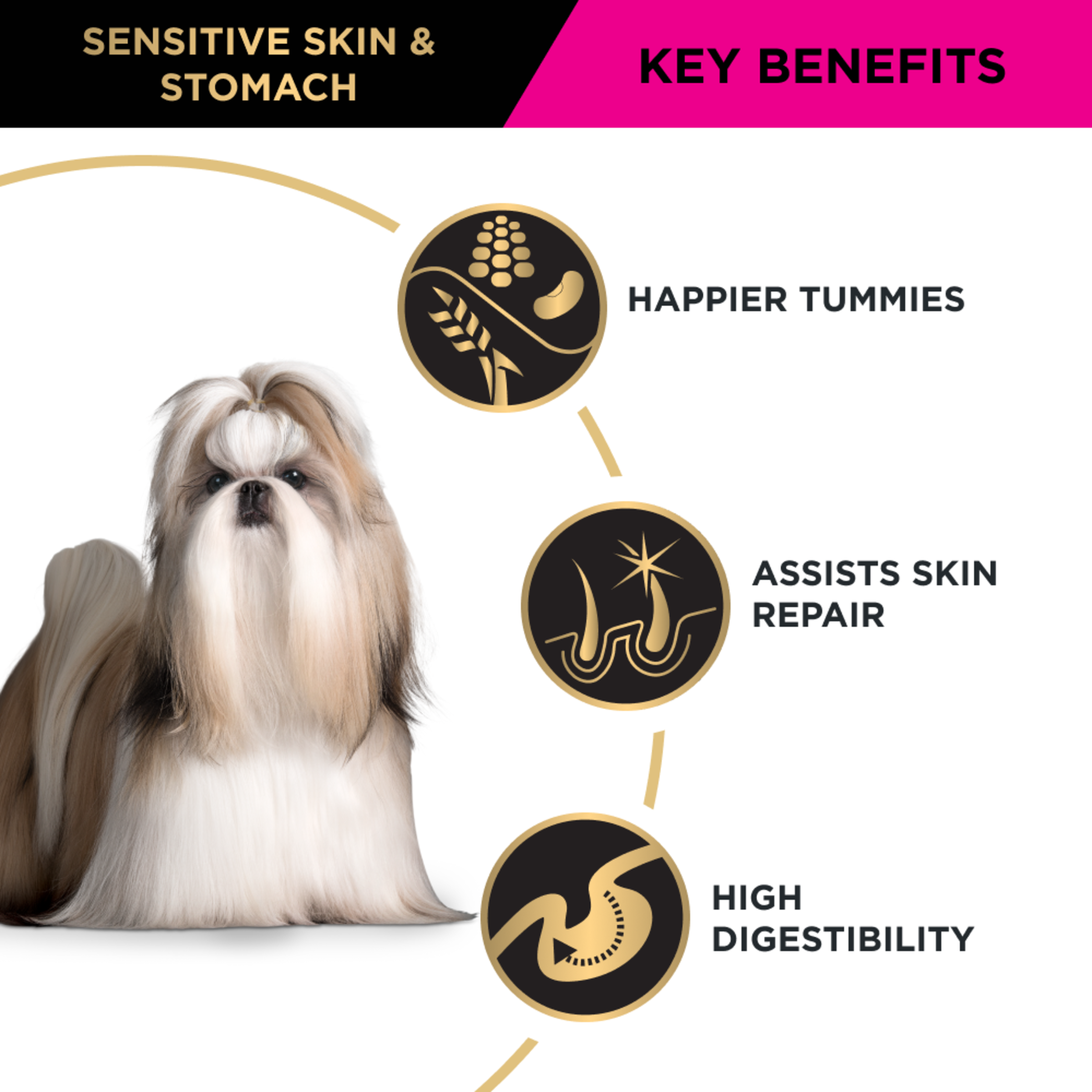 PRO PLAN Adult Sensitive Skin & Stomach key benefits with a shih tzu: digestion and skin repair