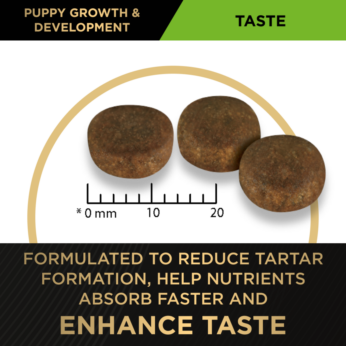 PRO PLAN Puppy Large kibble against a millimetre scale on the tartar and taste panel