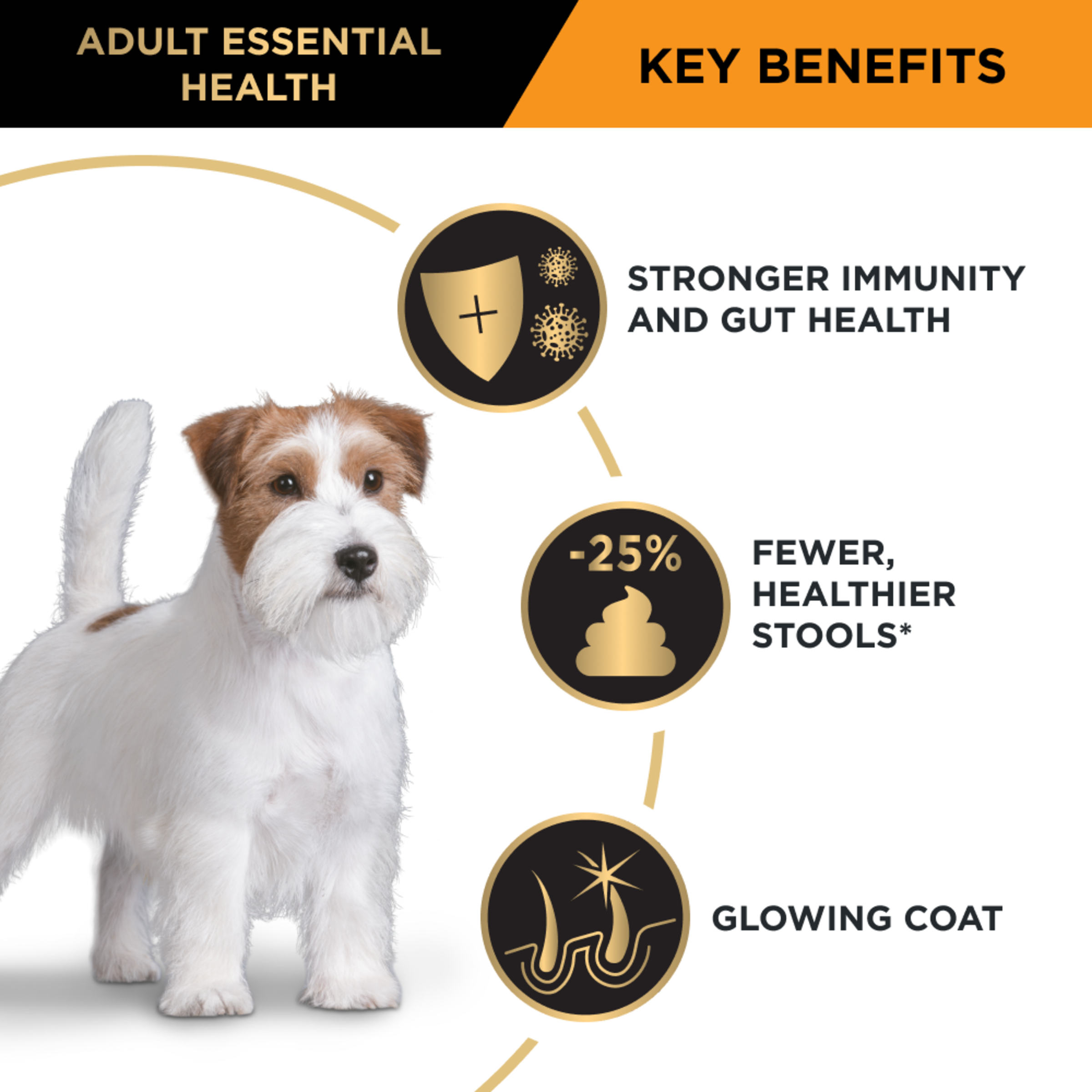 PRO PLAN Adult Small & Toy key benefits panel with a terrier: immunity, gut health and coat