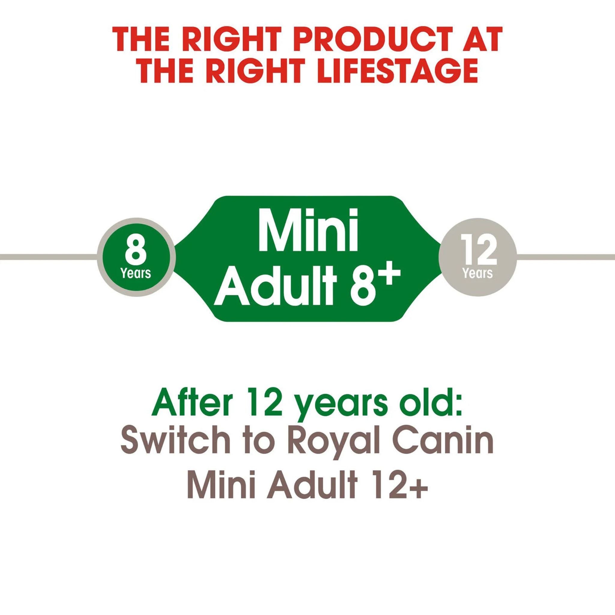 Royal Canin Mini Adult 8+