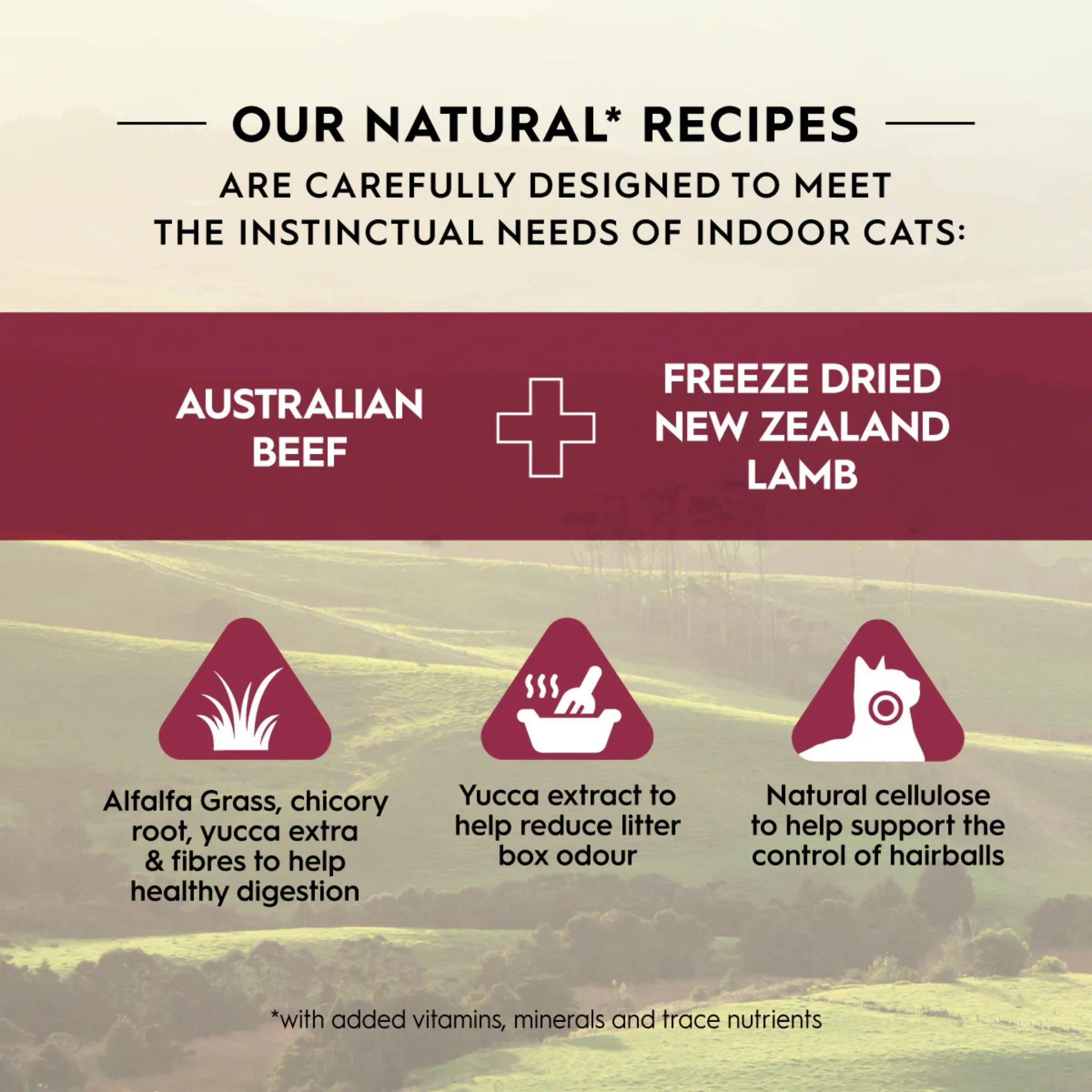 Trilogy Dry Adult Cat Food Australian Beef + Freeze Dried Lamb