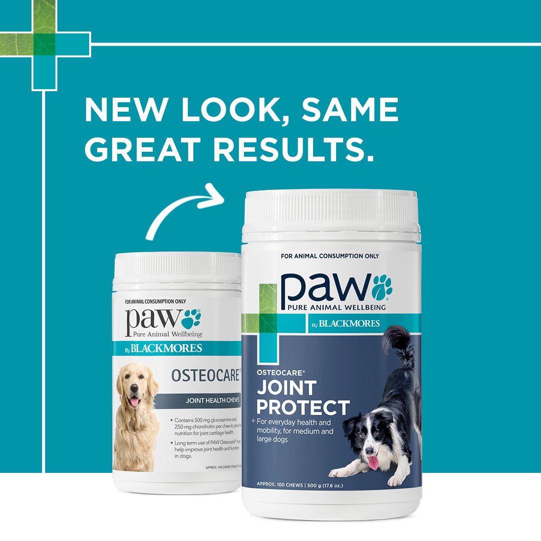 PAW by Blackmores OsteoCare Joint Protect Chews